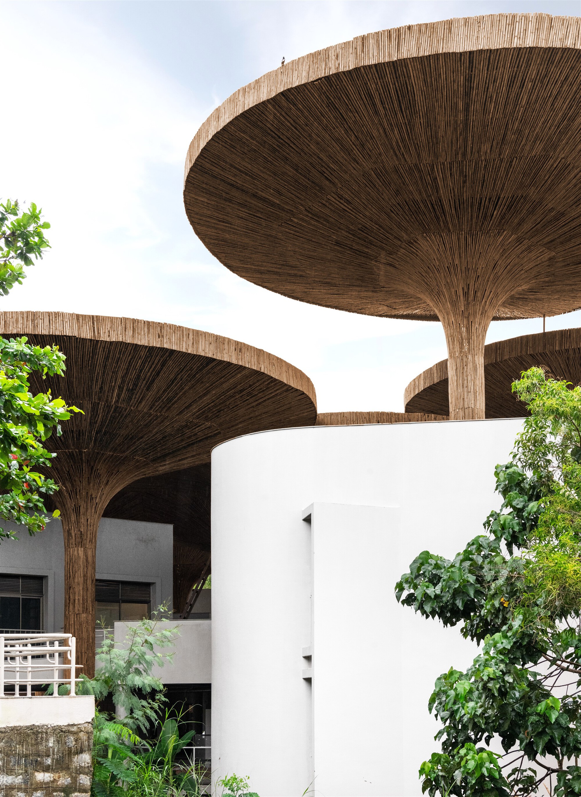 INDIA 印度 TAPMI 永續發展中心 The Purple Ink Studio