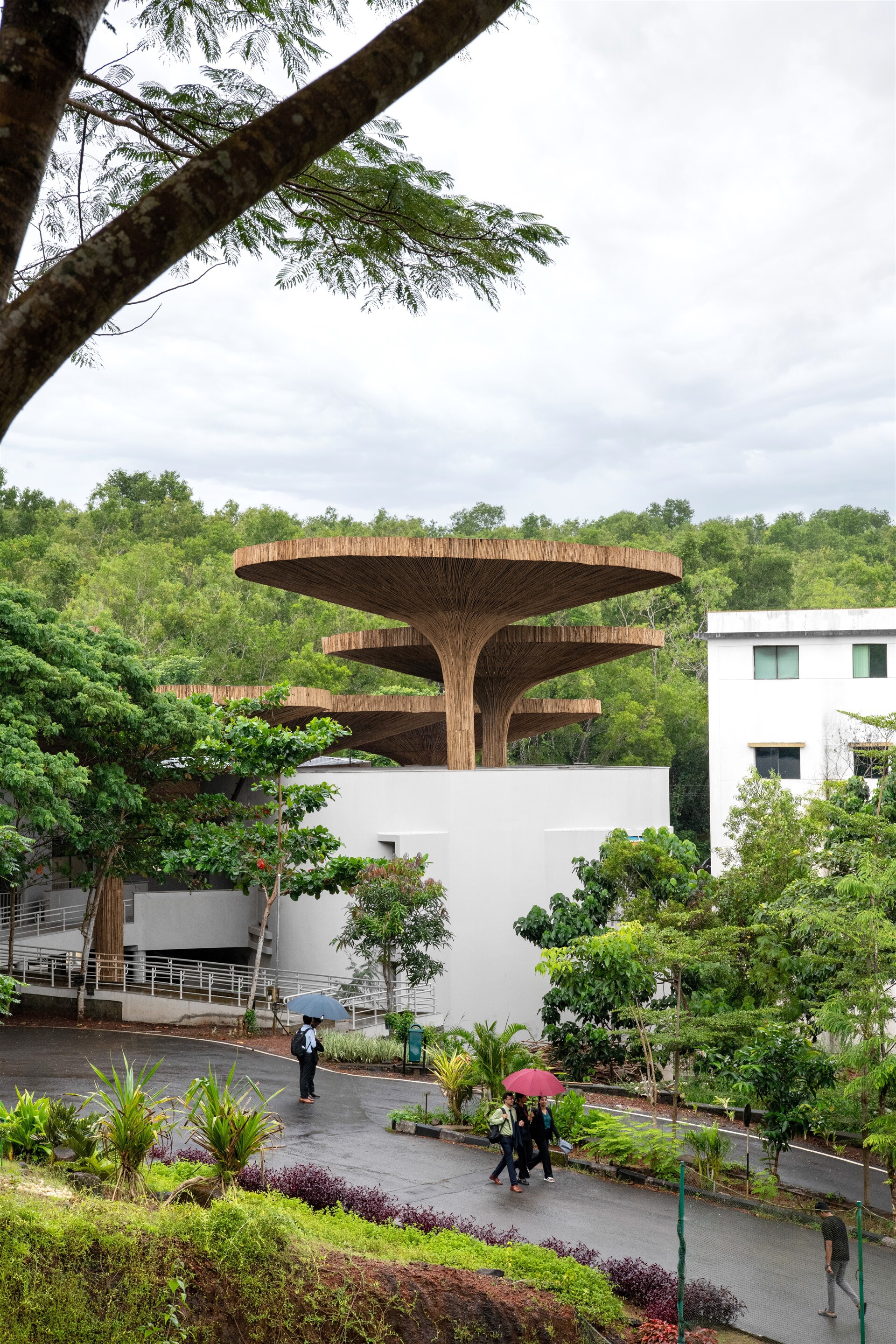 INDIA 印度 TAPMI 永續發展中心 The Purple Ink Studio 