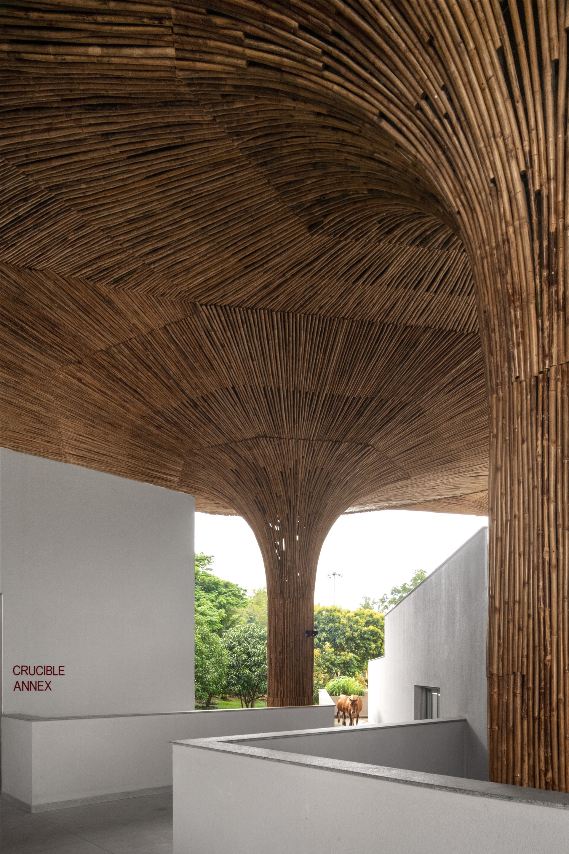 INDIA 印度 TAPMI 永續發展中心 The Purple Ink Studio 