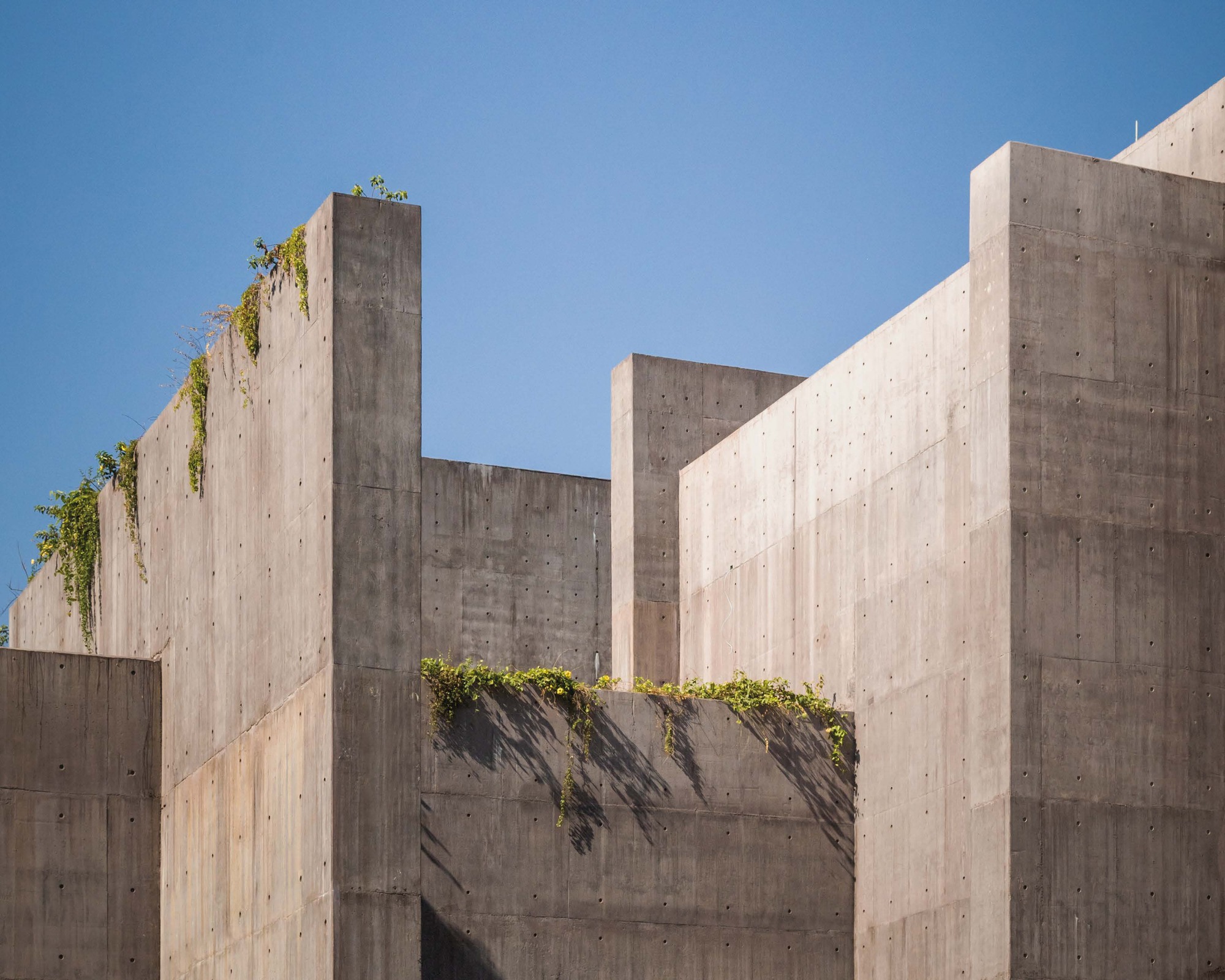 墨西哥Cortés海研究中心 Centro de Investigaciones Oceánicas del Mar de Cortés／Tatiana Bilbao