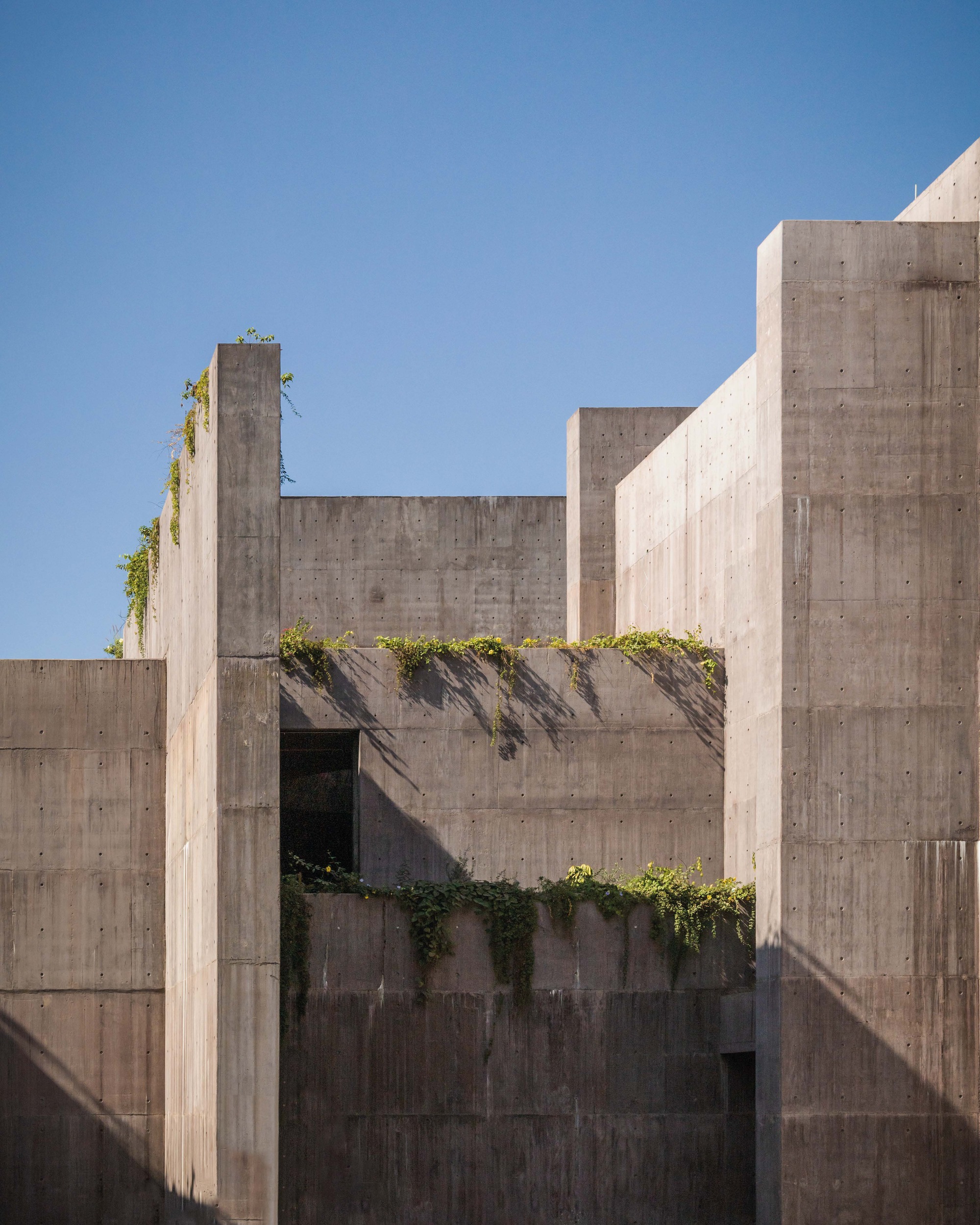 墨西哥Cortés海研究中心 Centro de Investigaciones Oceánicas del Mar de Cortés／Tatiana Bilbao