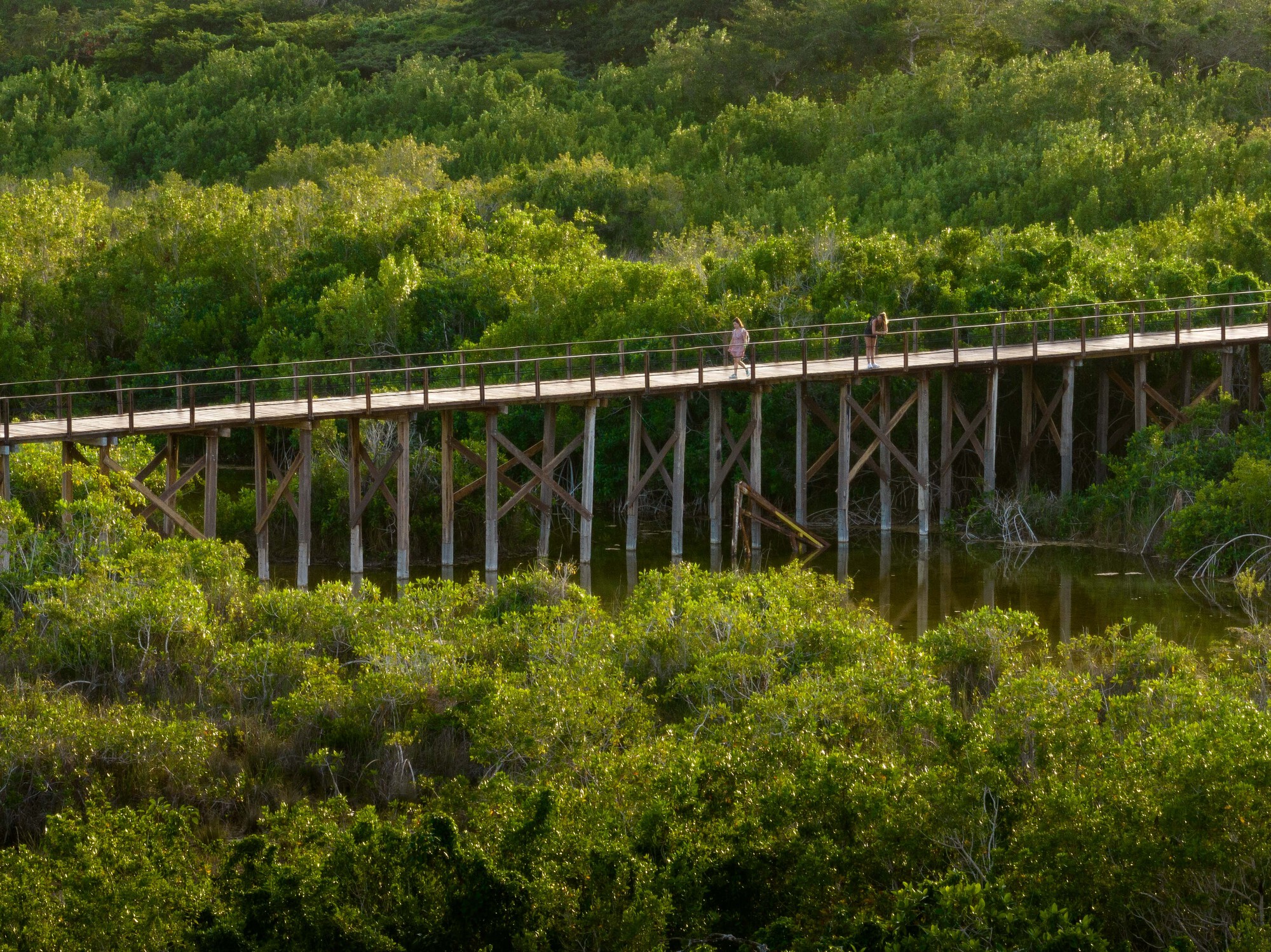 墨西哥七彩潟湖 Bacalar Lagoon 紅樹林保育生態公園 Colectivo C733