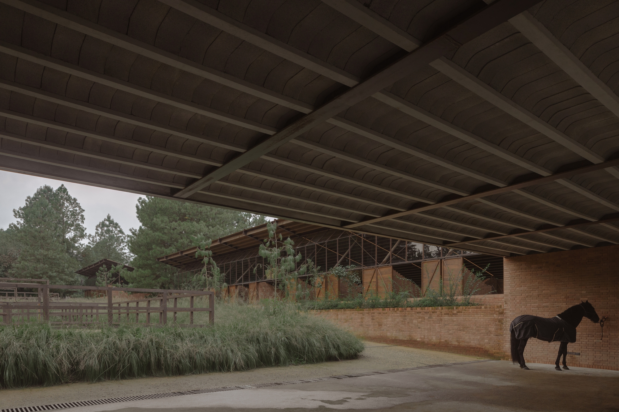 聖拉蒙馬廄 Equestrian San Ramón Módica Ledezma 墨西哥州 Valle de Bravo 森林