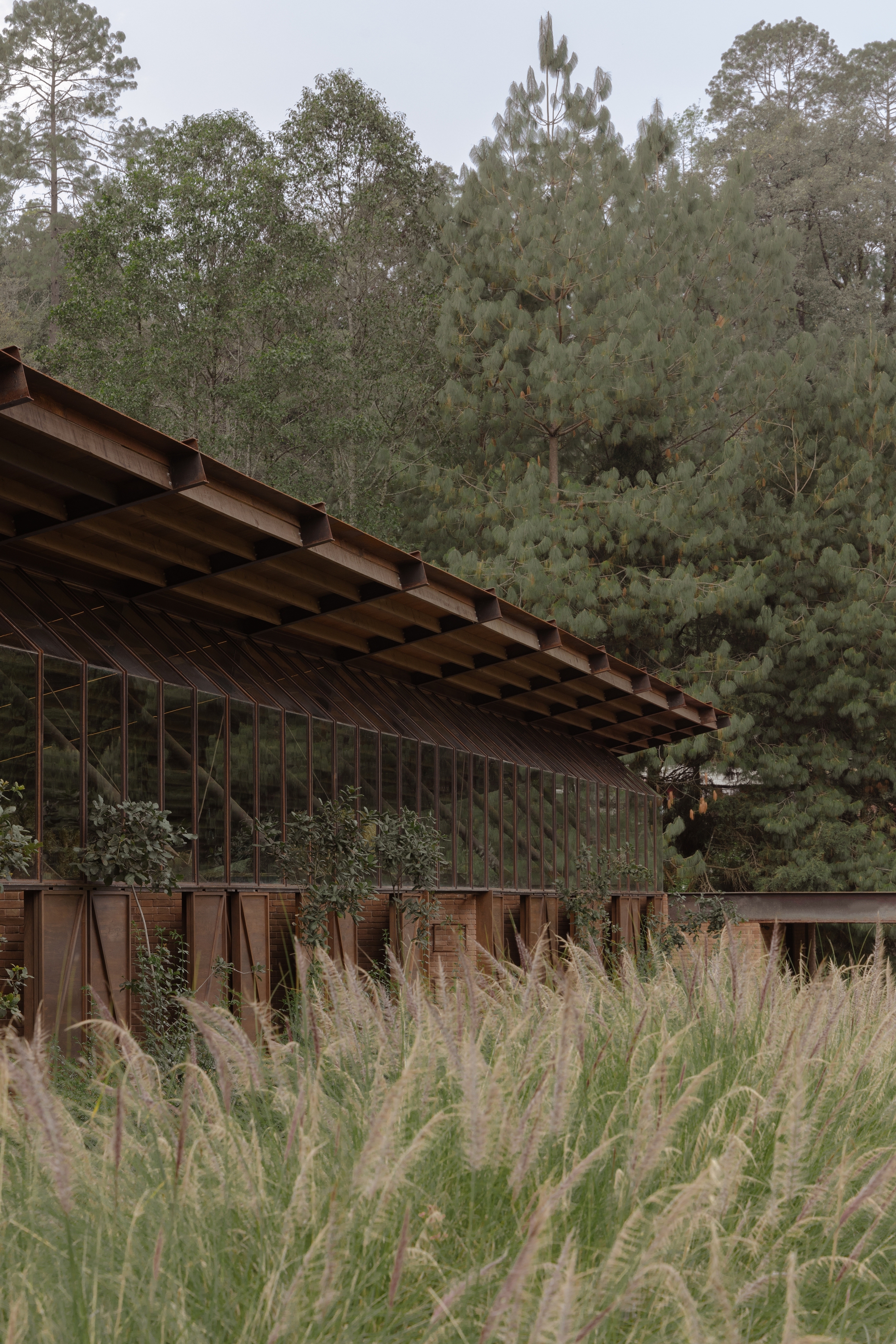 聖拉蒙馬廄 Equestrian San Ramón Módica Ledezma 墨西哥州 Valle de Bravo 森林