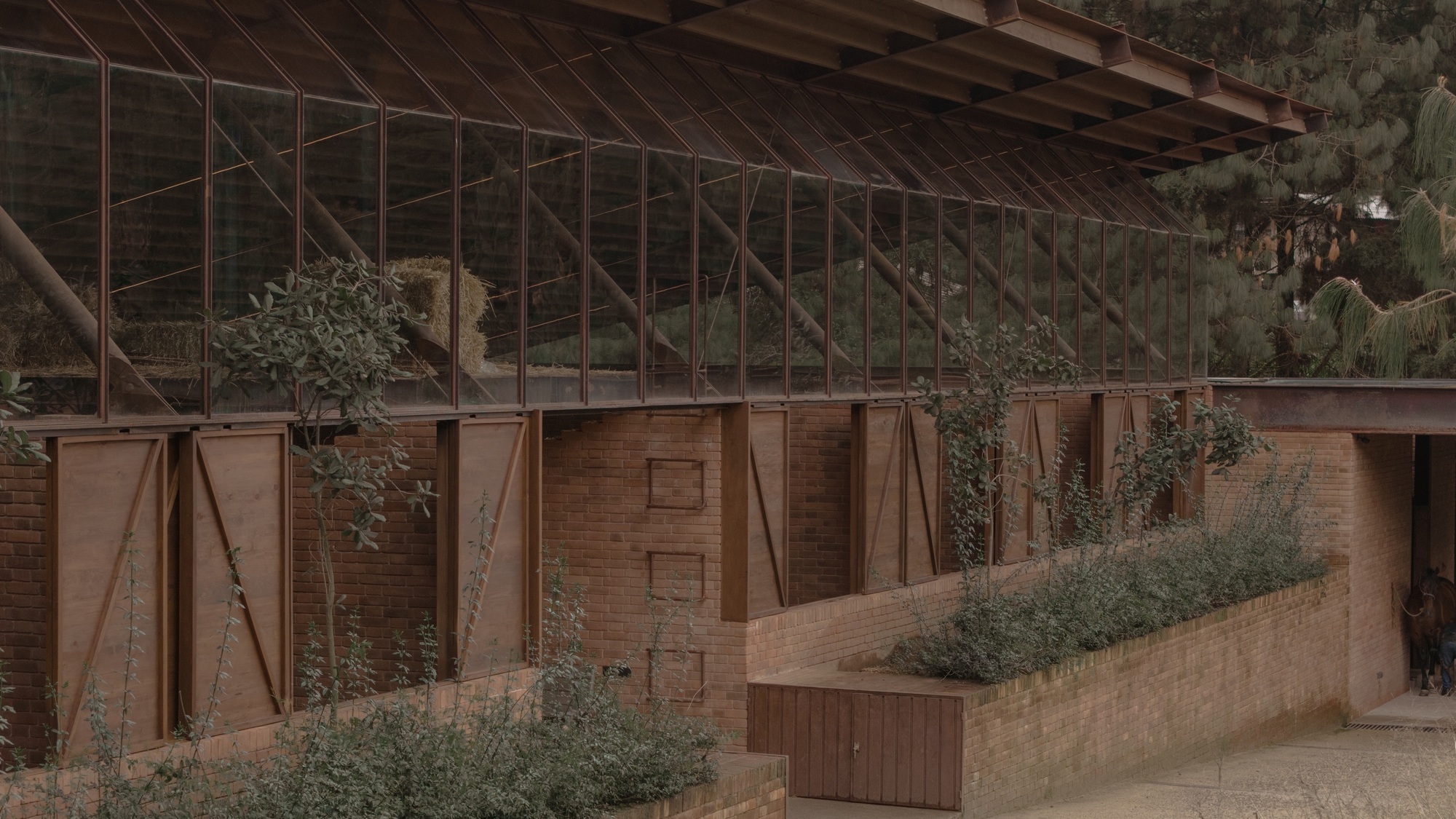 聖拉蒙馬廄 Equestrian San Ramón Módica Ledezma 墨西哥州 Valle de Bravo 森林