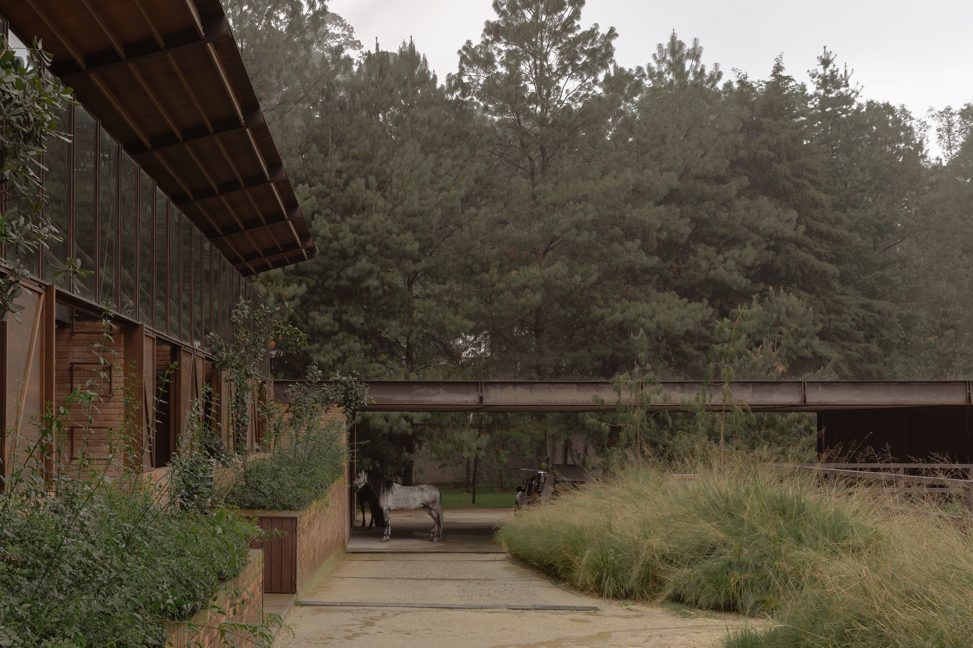 聖拉蒙馬廄 Equestrian San Ramón Módica Ledezma 墨西哥州 Valle de Bravo 森林