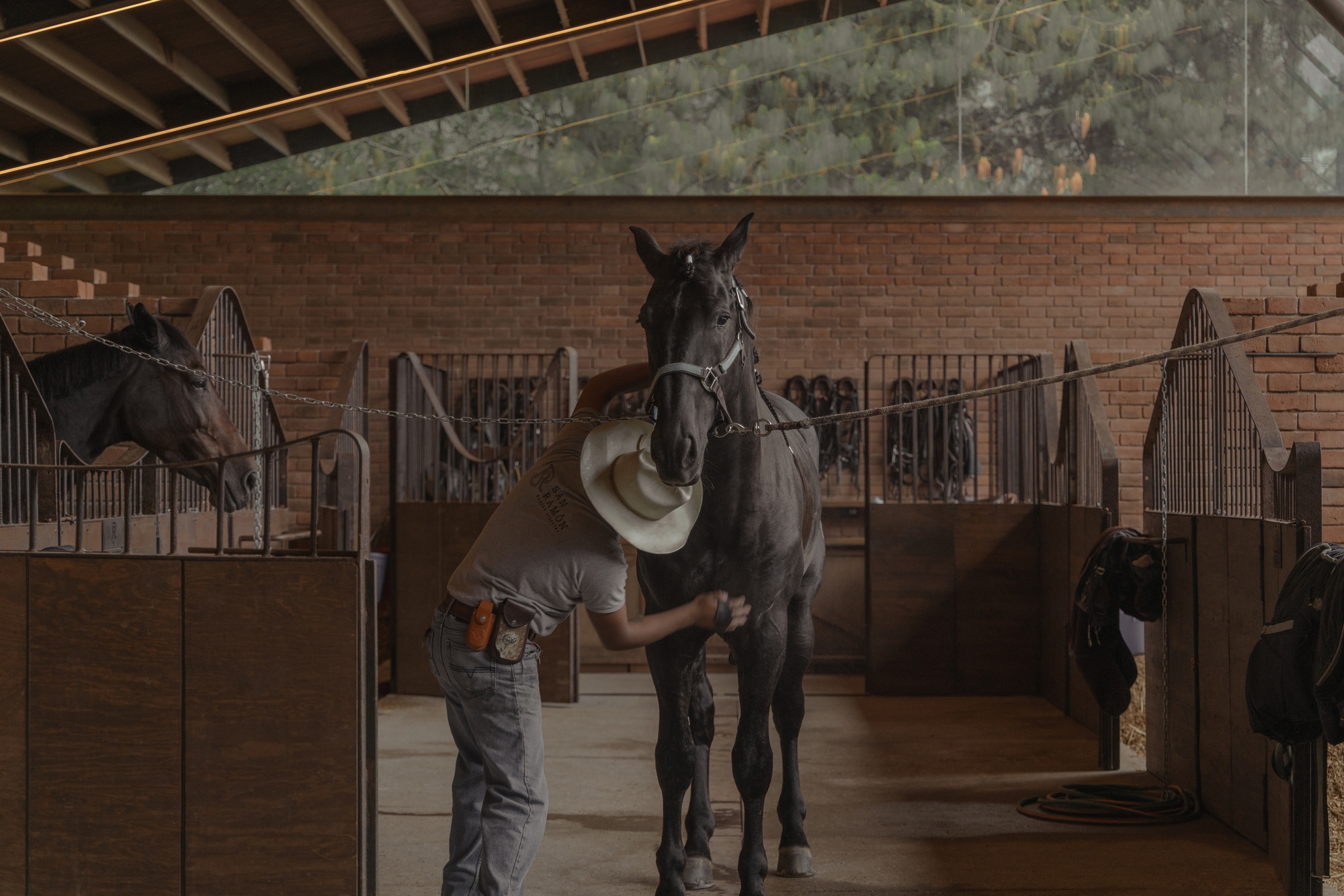 聖拉蒙馬廄 Equestrian San Ramón Módica Ledezma 墨西哥州 Valle de Bravo 森林