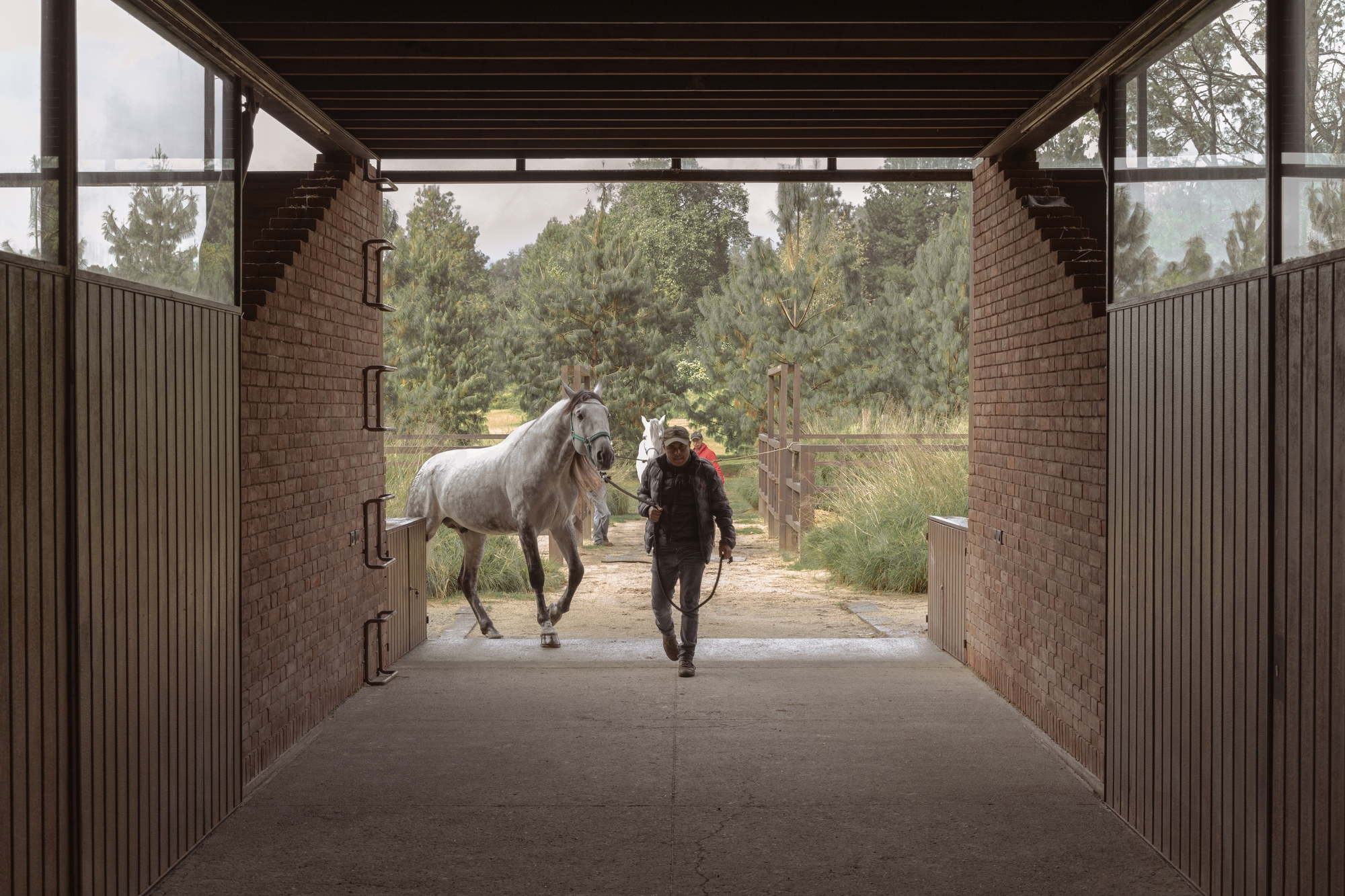 聖拉蒙馬廄 Equestrian San Ramón Módica Ledezma 墨西哥州 Valle de Bravo 森林