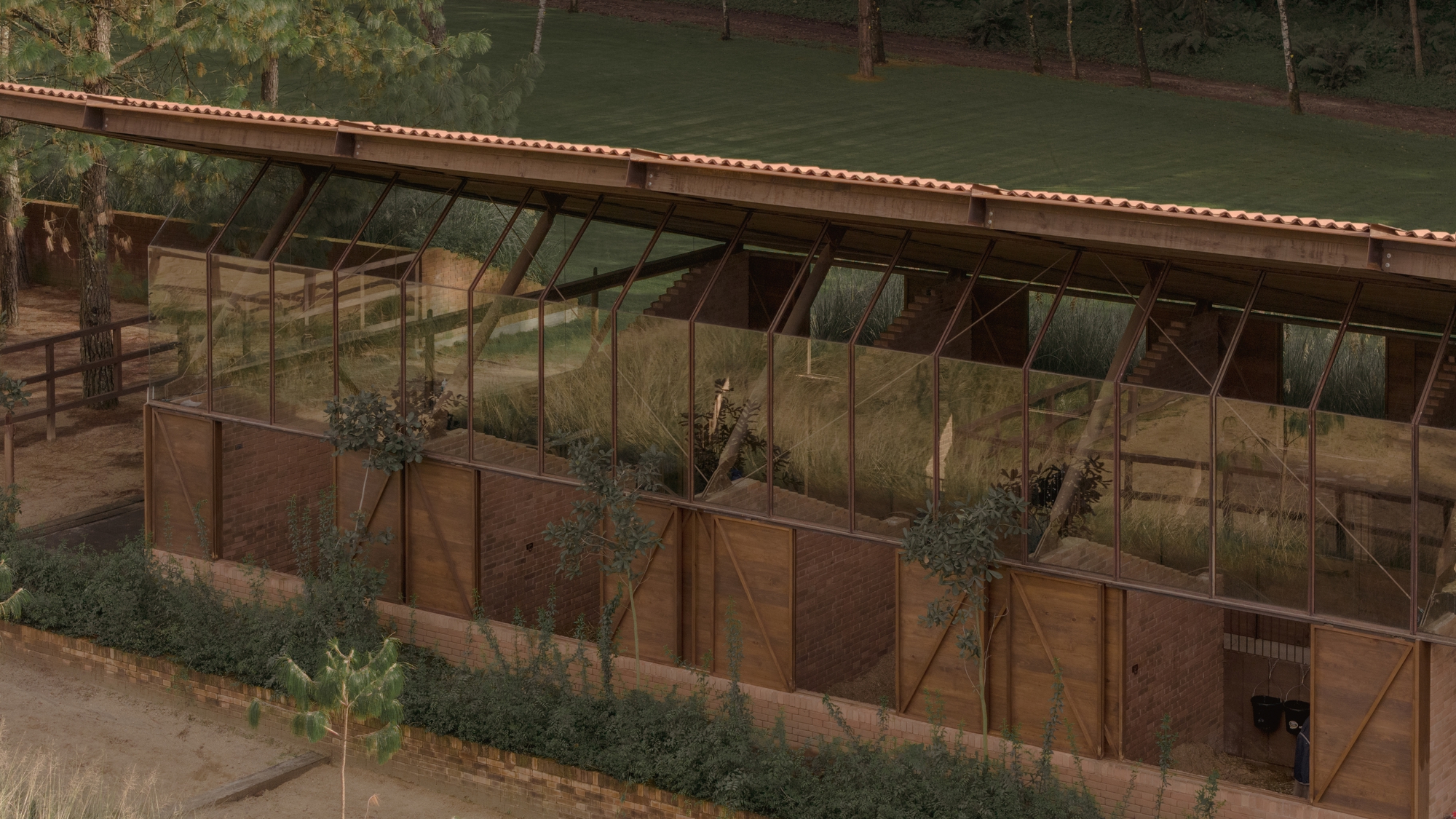 聖拉蒙馬廄 Equestrian San Ramón Módica Ledezma 墨西哥州 Valle de Bravo 森林