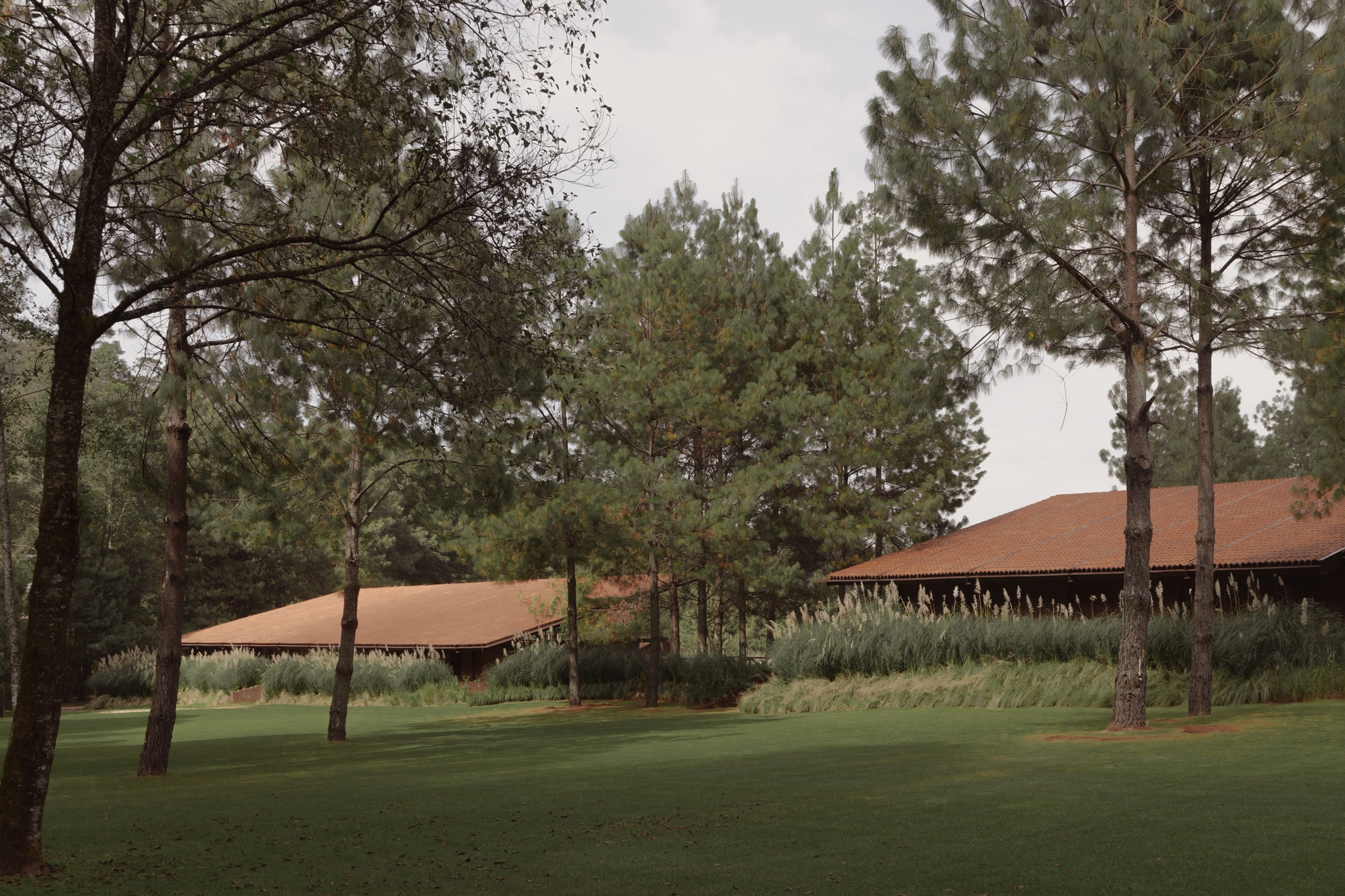 聖拉蒙馬廄 Equestrian San Ramón Módica Ledezma 墨西哥州 Valle de Bravo 森林