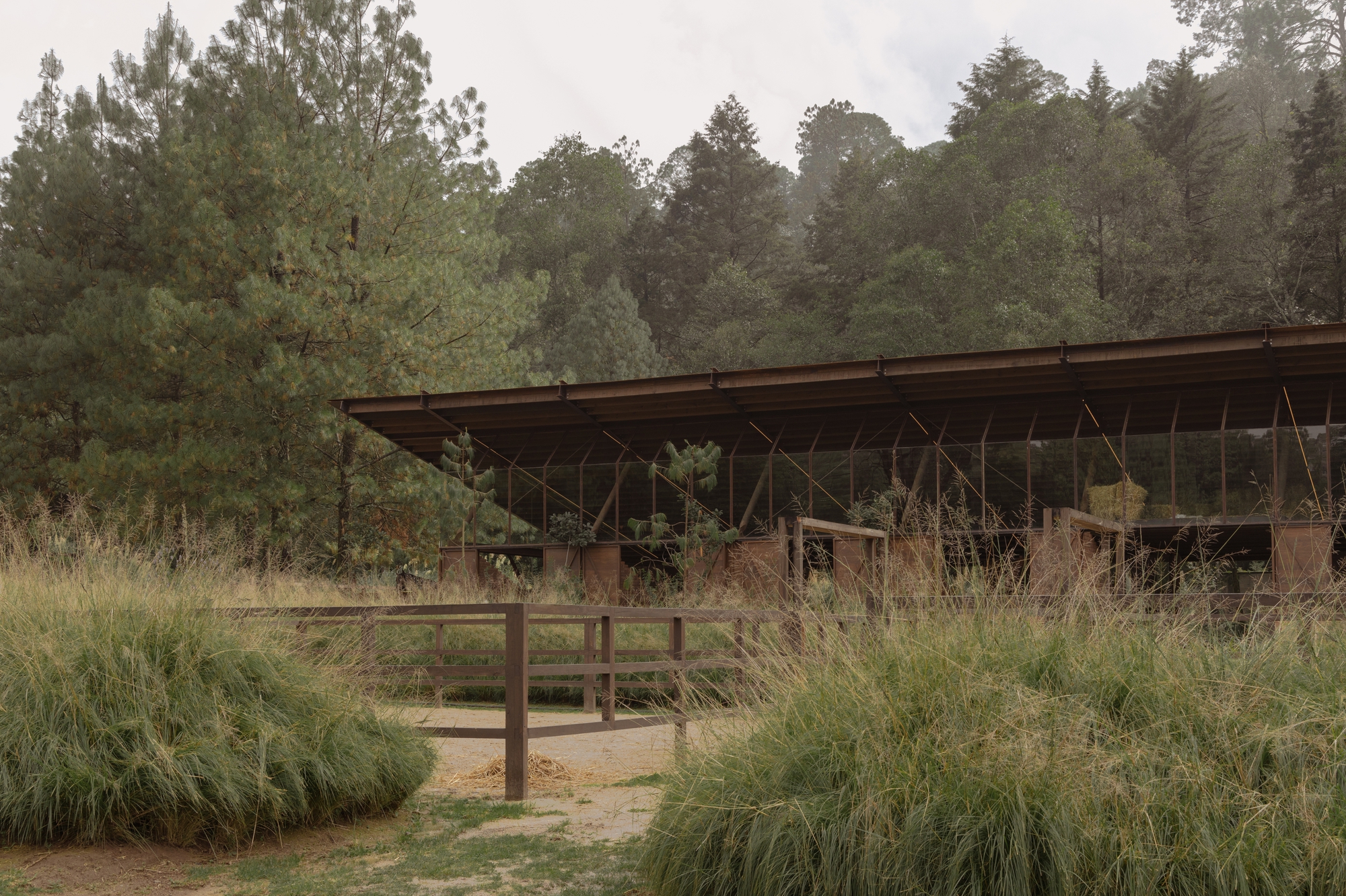 聖拉蒙馬廄 Equestrian San Ramón Módica Ledezma 墨西哥州 Valle de Bravo 森林