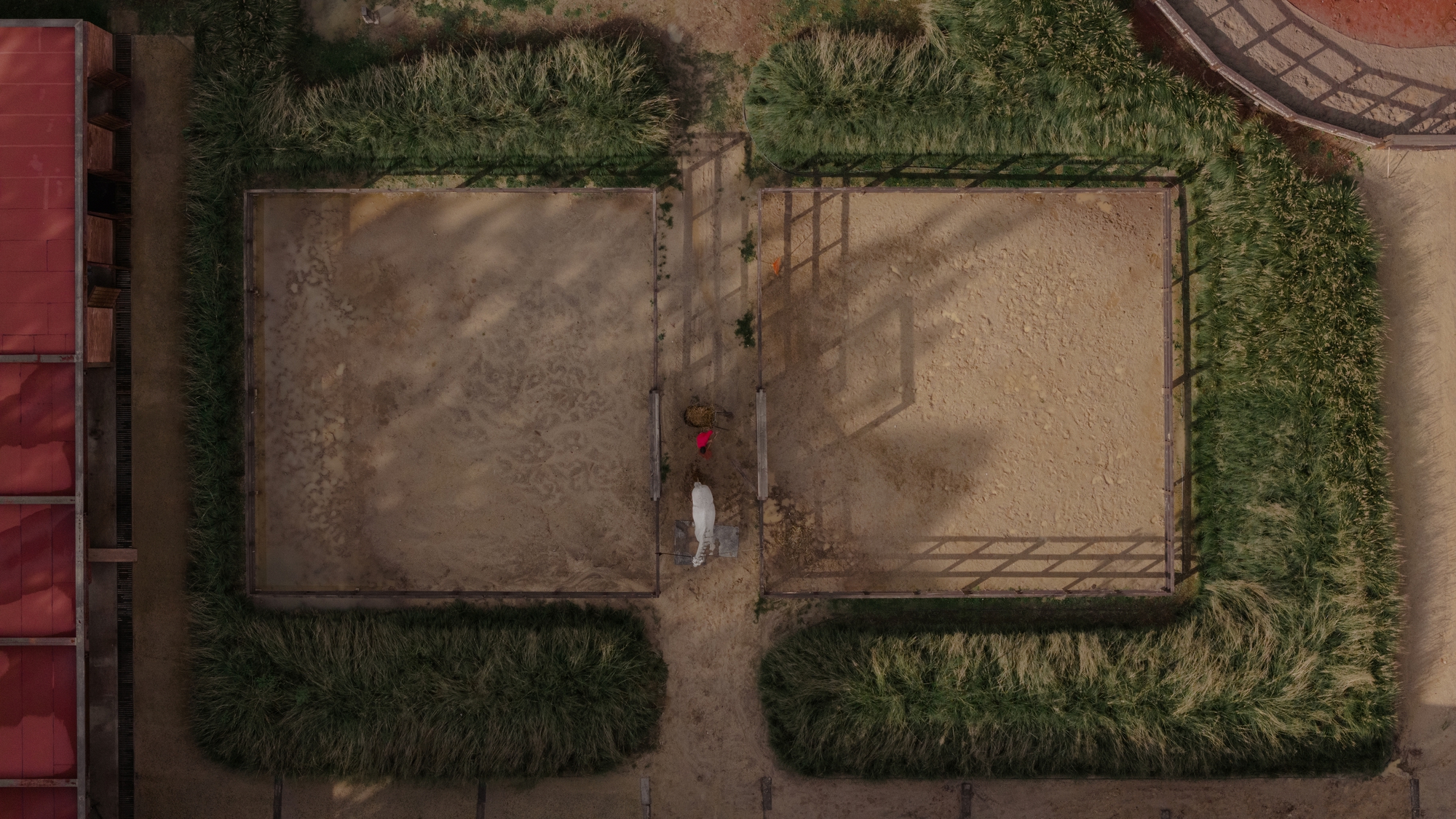 聖拉蒙馬廄 Equestrian San Ramón Módica Ledezma 墨西哥州 Valle de Bravo 森林