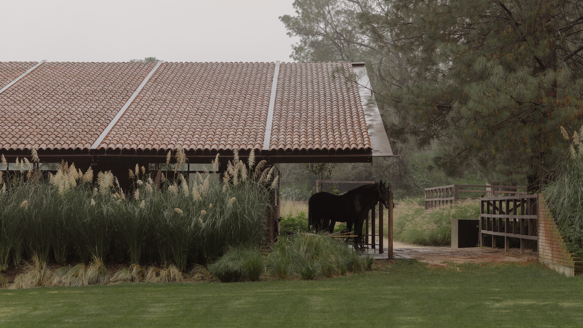 聖拉蒙馬廄 Equestrian San Ramón Módica Ledezma 墨西哥州 Valle de Bravo 森林