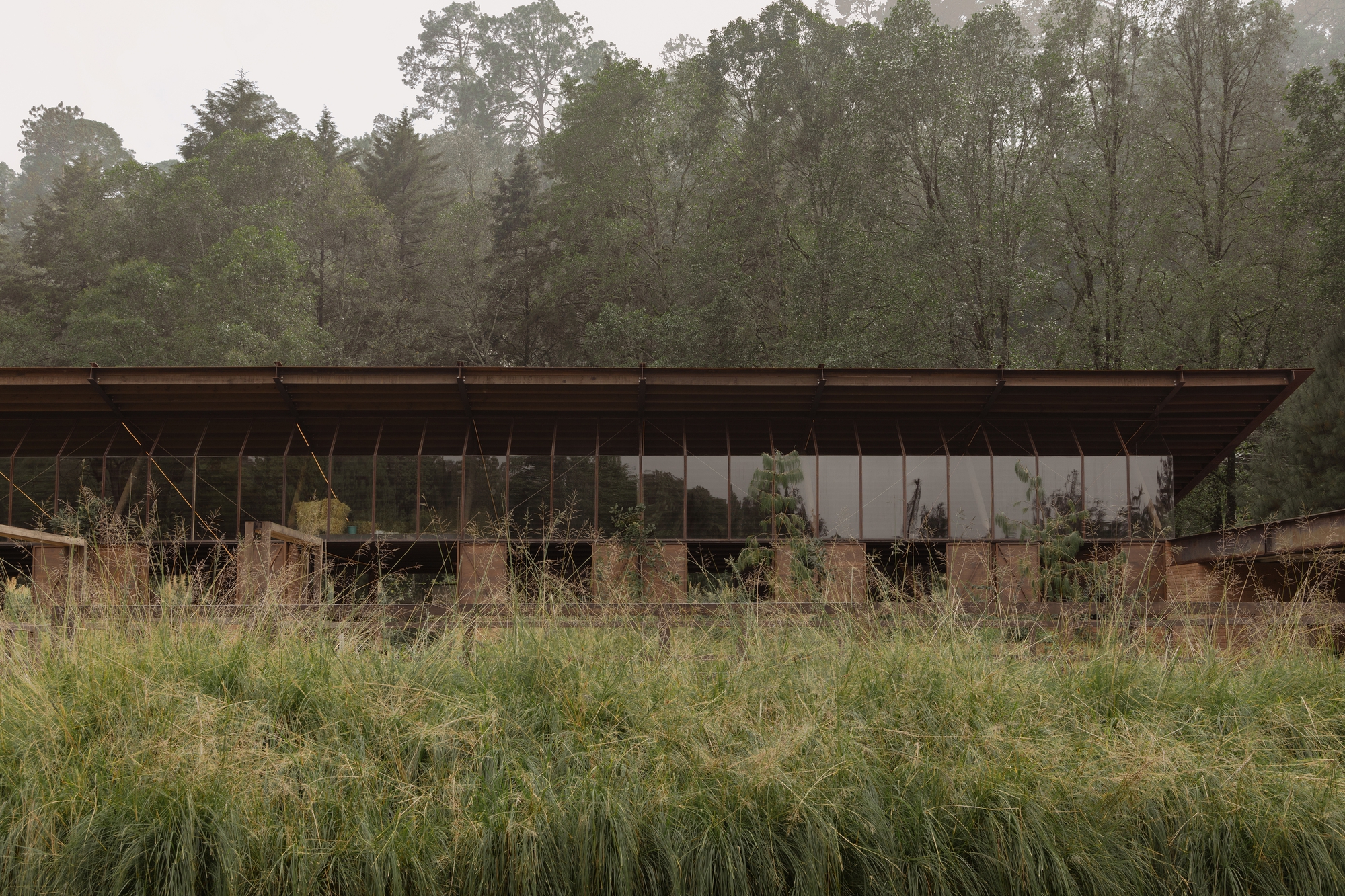 聖拉蒙馬廄 Equestrian San Ramón Módica Ledezma 墨西哥州 Valle de Bravo 森林