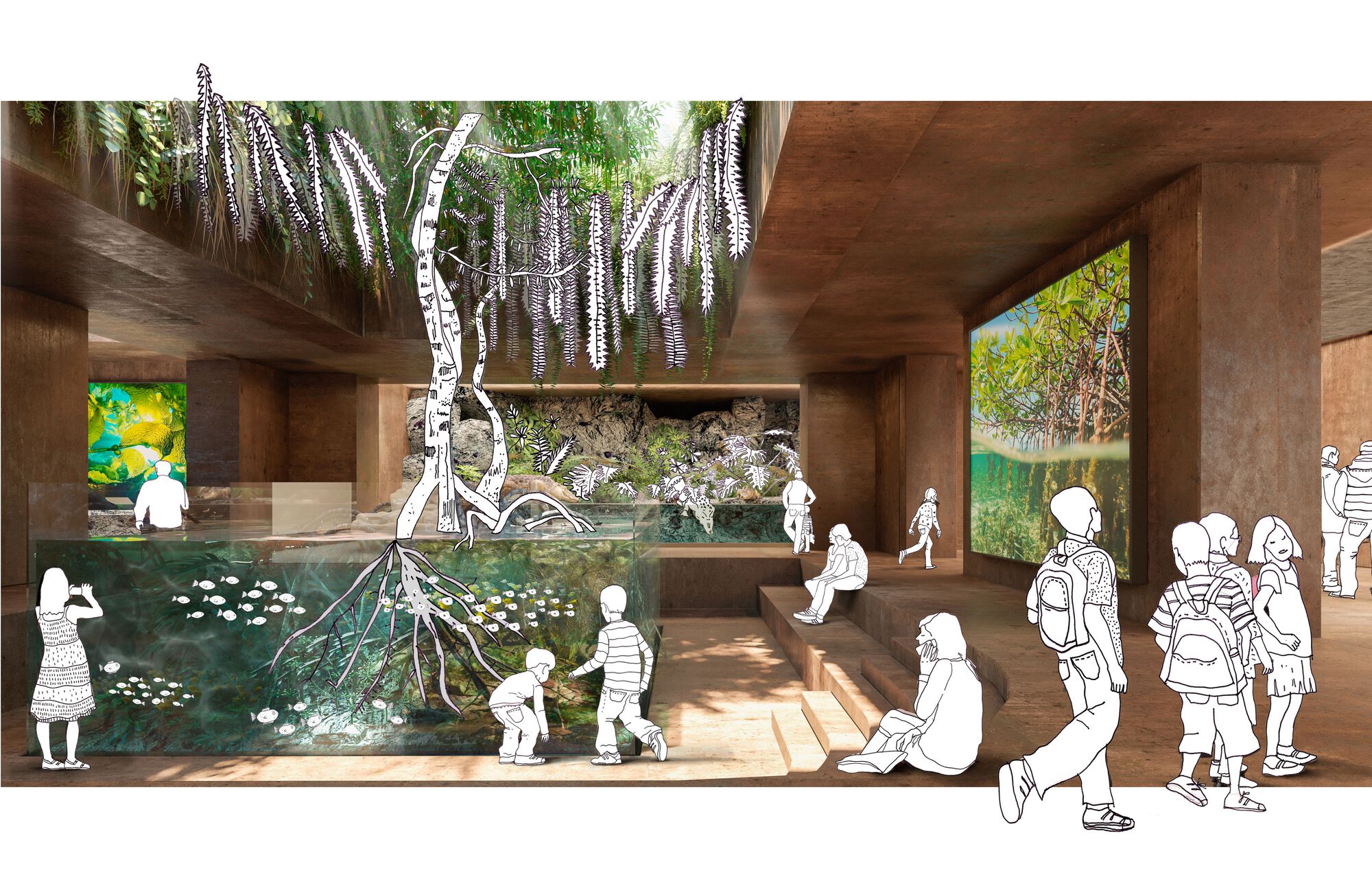 墨西哥Cortés海研究中心 Centro de Investigaciones Oceánicas del Mar de Cortés／Tatiana Bilbao