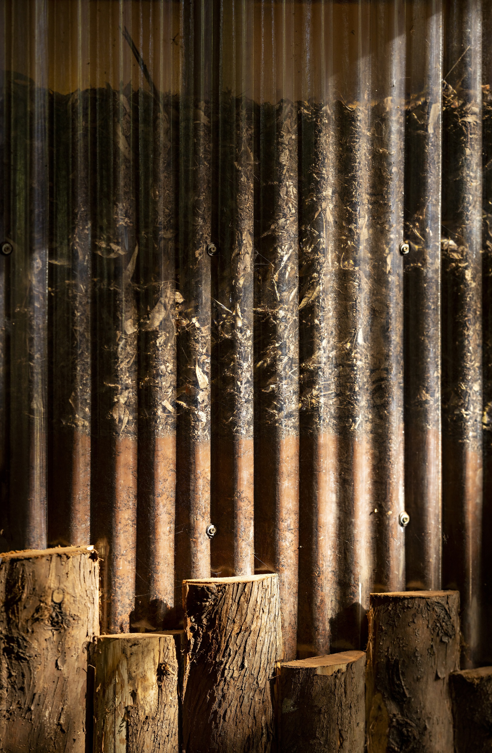 奈洛比華德福教育學校 Nairobi Waldorf School  Urko Sanchez Architects