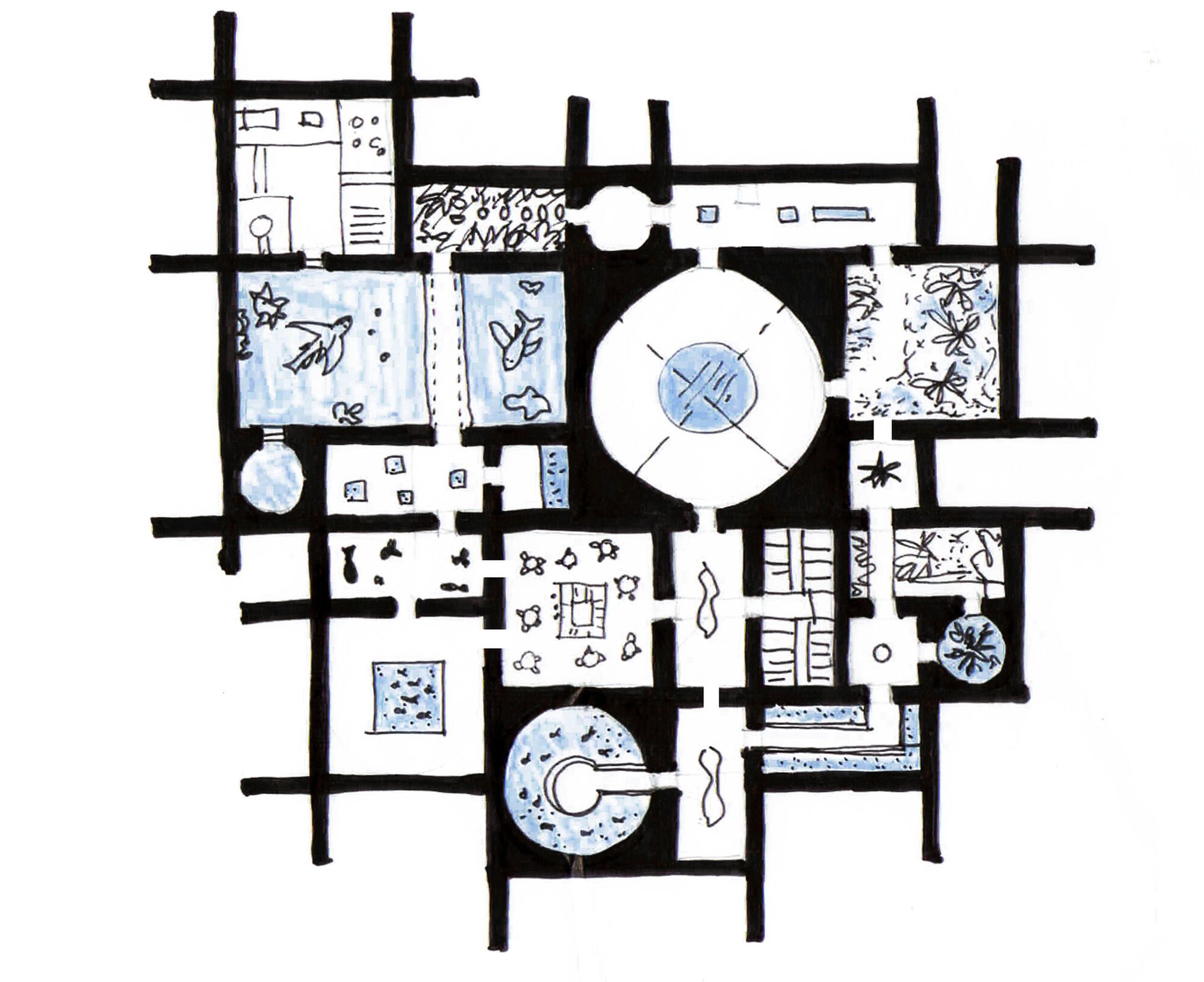 墨西哥Cortés海研究中心 Centro de Investigaciones Oceánicas del Mar de Cortés/Tatiana Bilbao