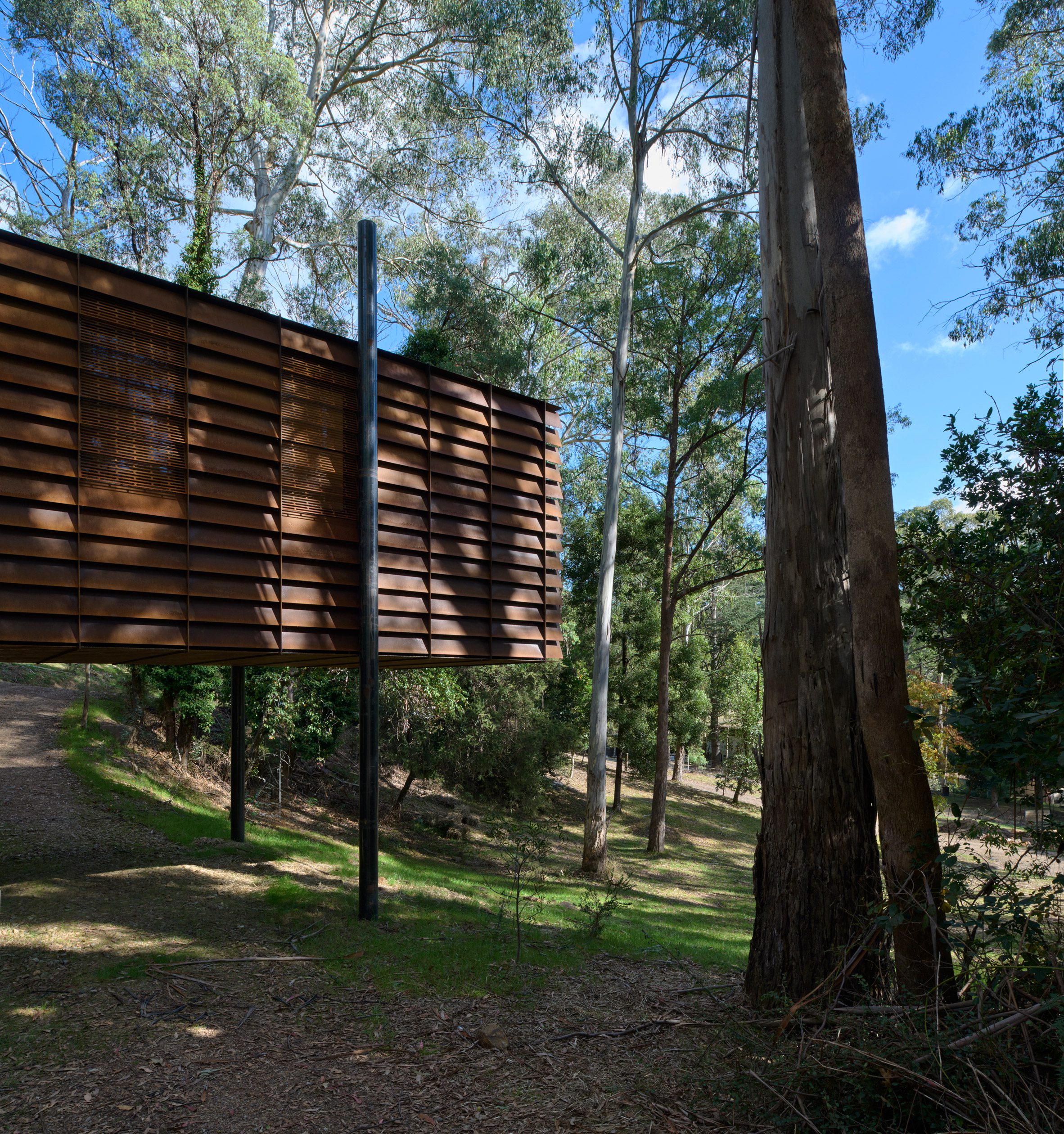 Robbie Walker 澳洲小屋 貨櫃屋 Sawmill Treehouse