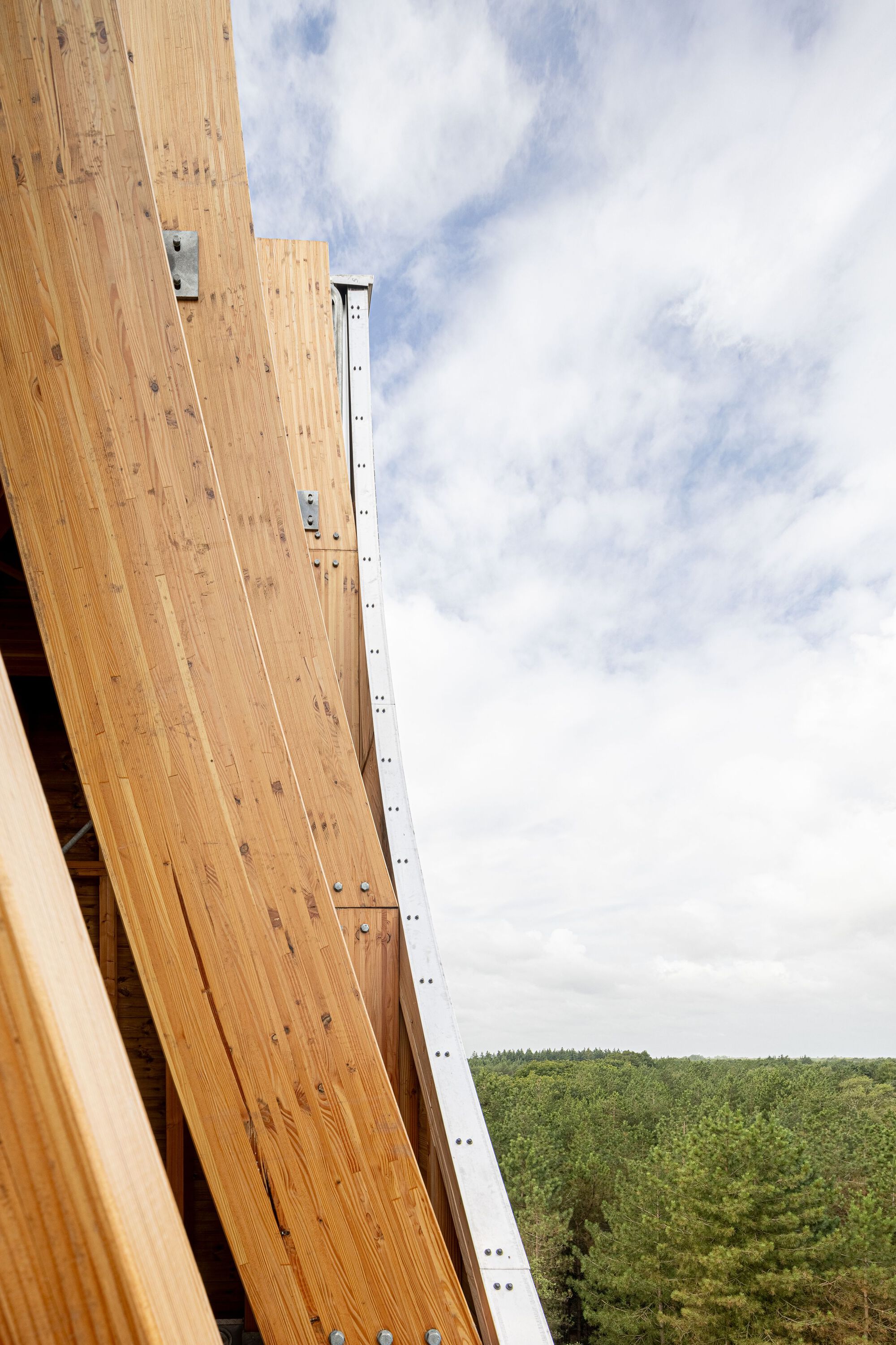 荷蘭建築師事務所NEXT architects 荷蘭北布拉邦省貝爾蓋克市（Bergeijk） 木造 Uitkijkpunt Einderheide 瞭望塔（Watchtower Einderheide）