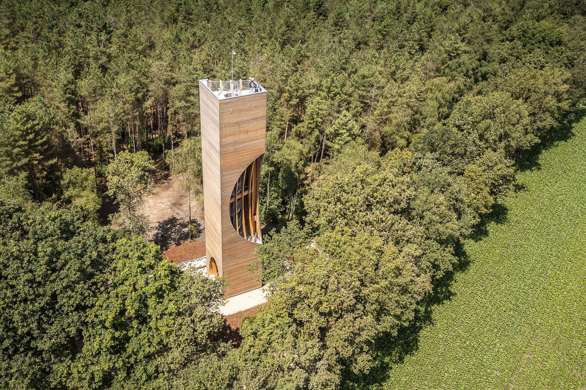 荷蘭建築師事務所NEXT architects 荷蘭北布拉邦省貝爾蓋克市（Bergeijk） 木造 Uitkijkpunt Einderheide 瞭望塔（Watchtower Einderheide）