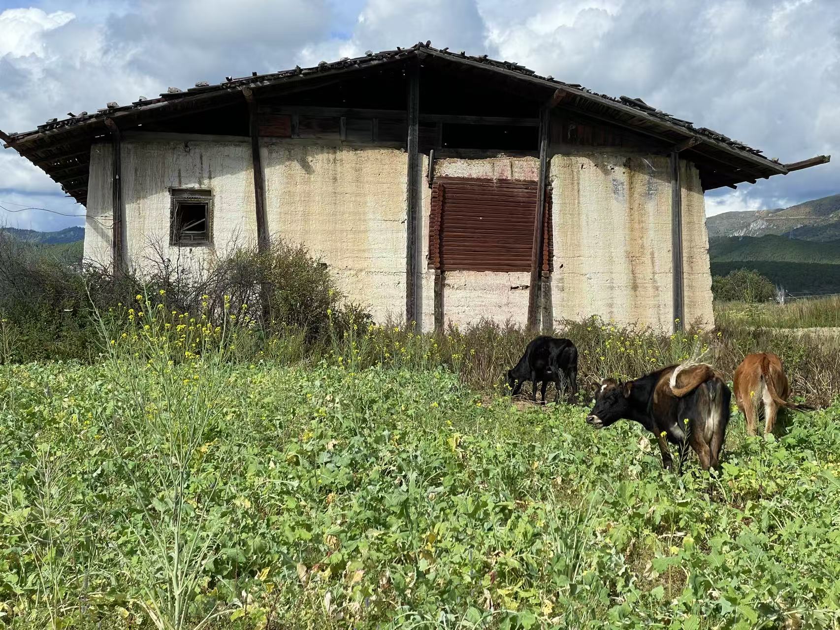 趙揚建築工作室 中國雲南省迪慶藏族自治區小中甸鎮吳公村 香格里拉先鋒書店 