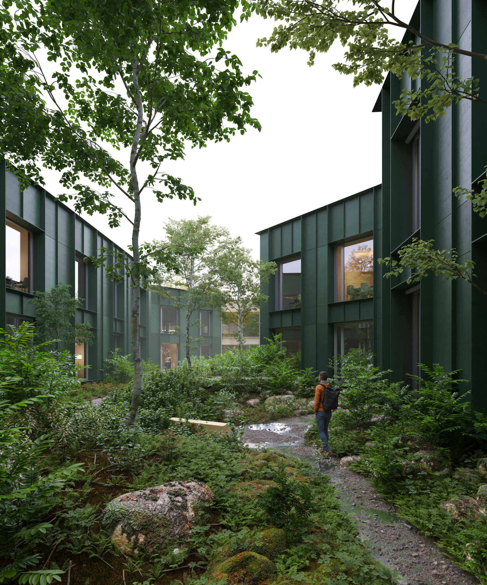 CHYBIK+KRISTOF 捷克林業委員會行政中心 木構 木造大樓