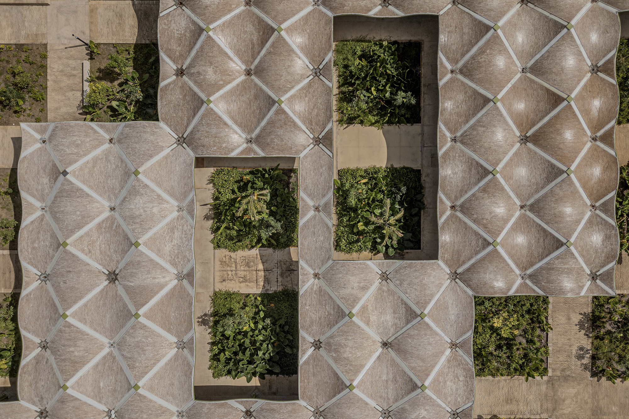 尼古拉斯布拉沃市場（Nicolas Bravo Market） 墨西哥尤卡坦半島（Yucatan Peninsula） AIDIA STUDIO 