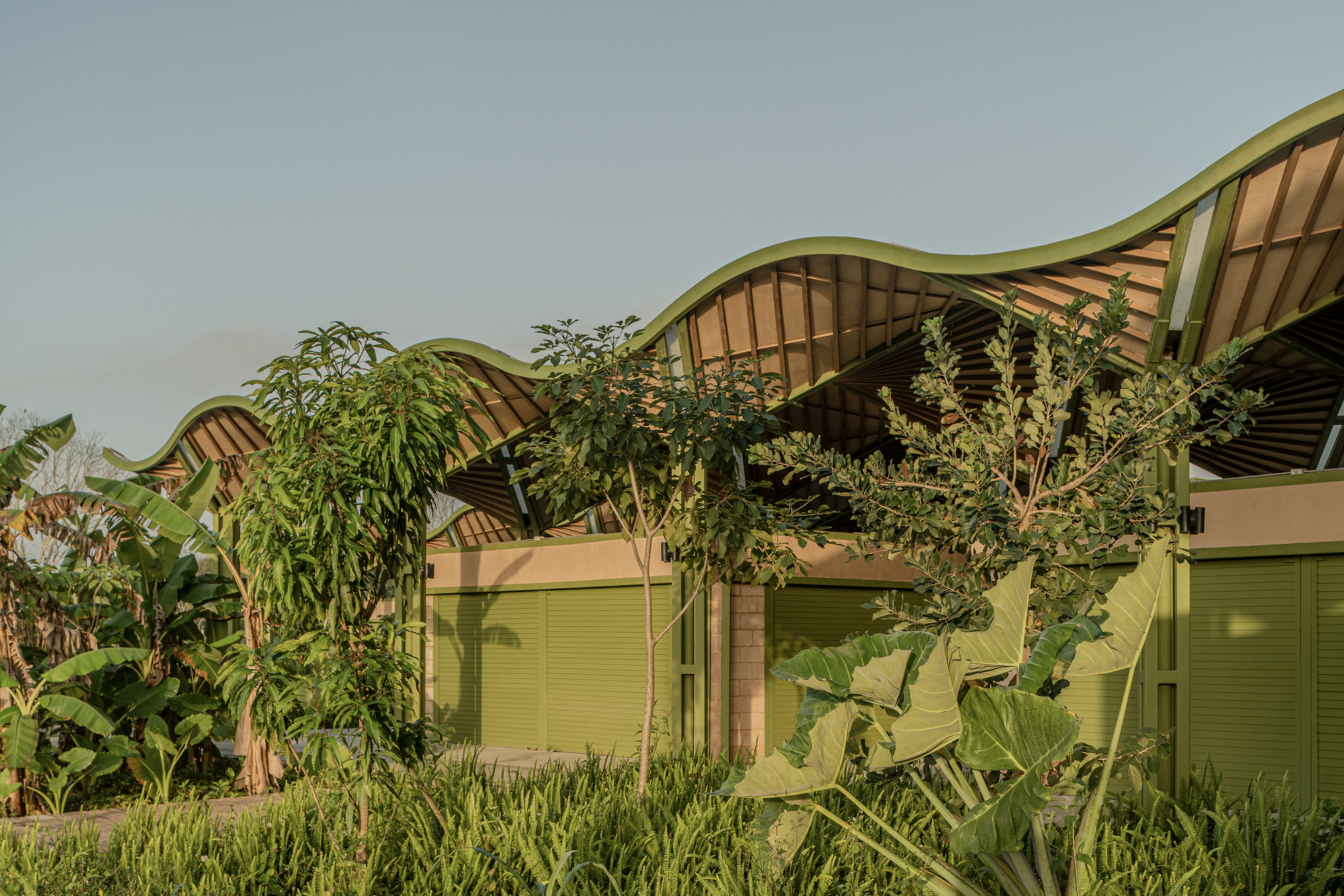 尼古拉斯布拉沃市場（Nicolas Bravo Market） 墨西哥尤卡坦半島（Yucatan Peninsula） AIDIA STUDIO 