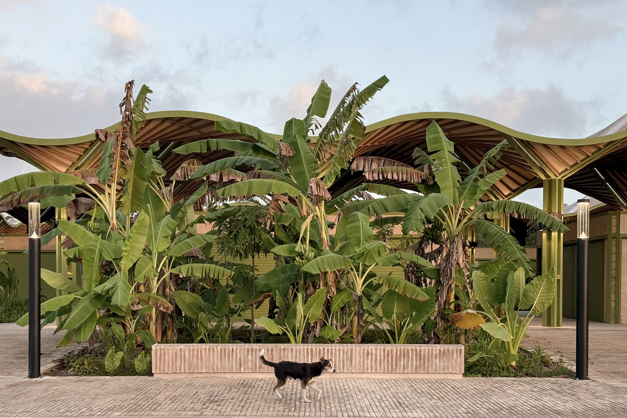 尼古拉斯布拉沃市場（Nicolas Bravo Market） 墨西哥尤卡坦半島（Yucatan Peninsula） AIDIA STUDIO 