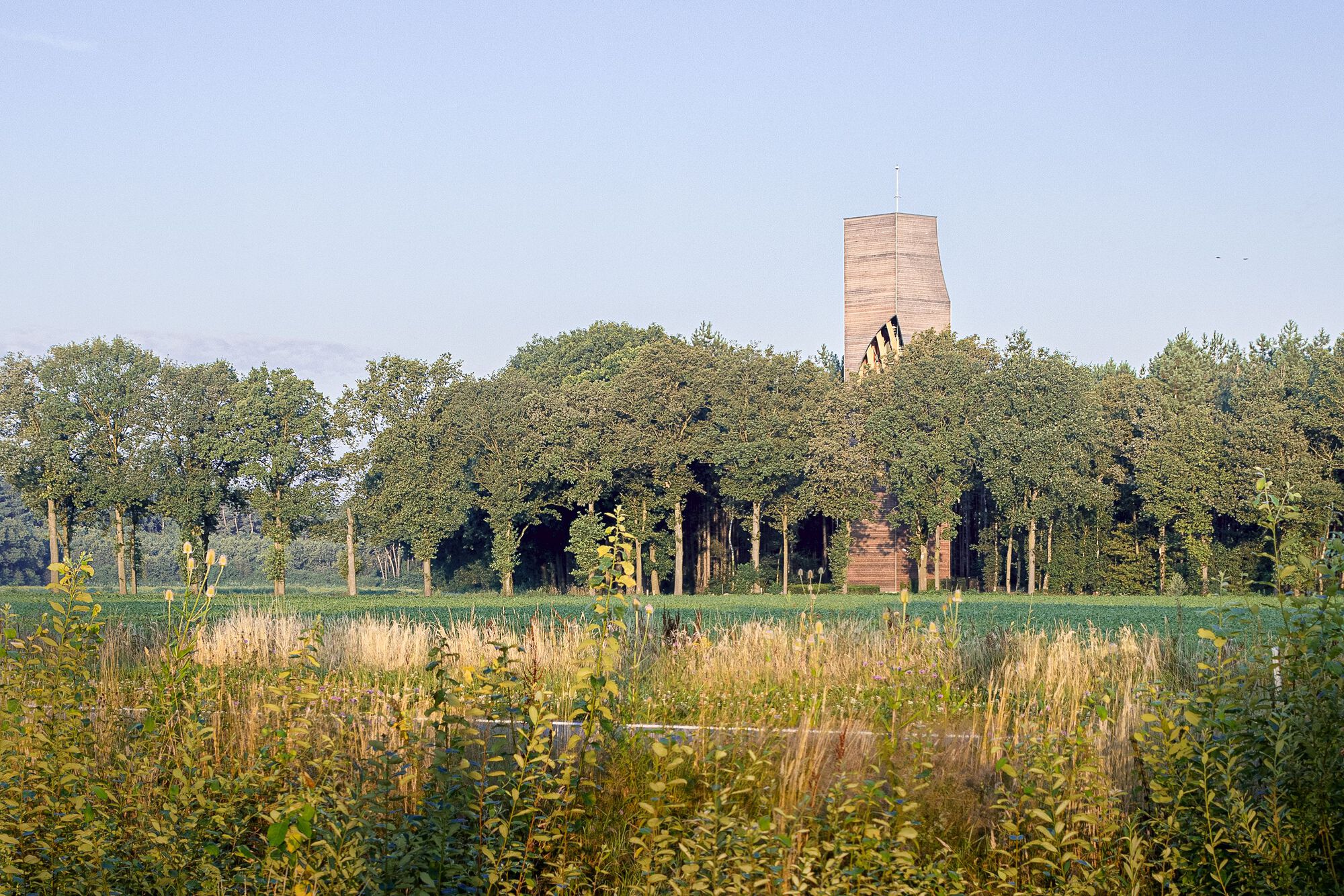 荷蘭建築師事務所NEXT architects 荷蘭北布拉邦省貝爾蓋克市（Bergeijk） 木造 Uitkijkpunt Einderheide 瞭望塔（Watchtower Einderheide）