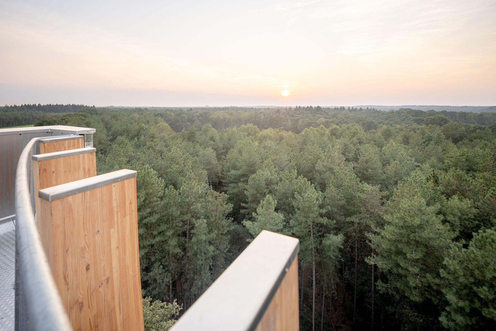 荷蘭建築師事務所NEXT architects 荷蘭北布拉邦省貝爾蓋克市（Bergeijk） 木造 Uitkijkpunt Einderheide 瞭望塔（Watchtower Einderheide）