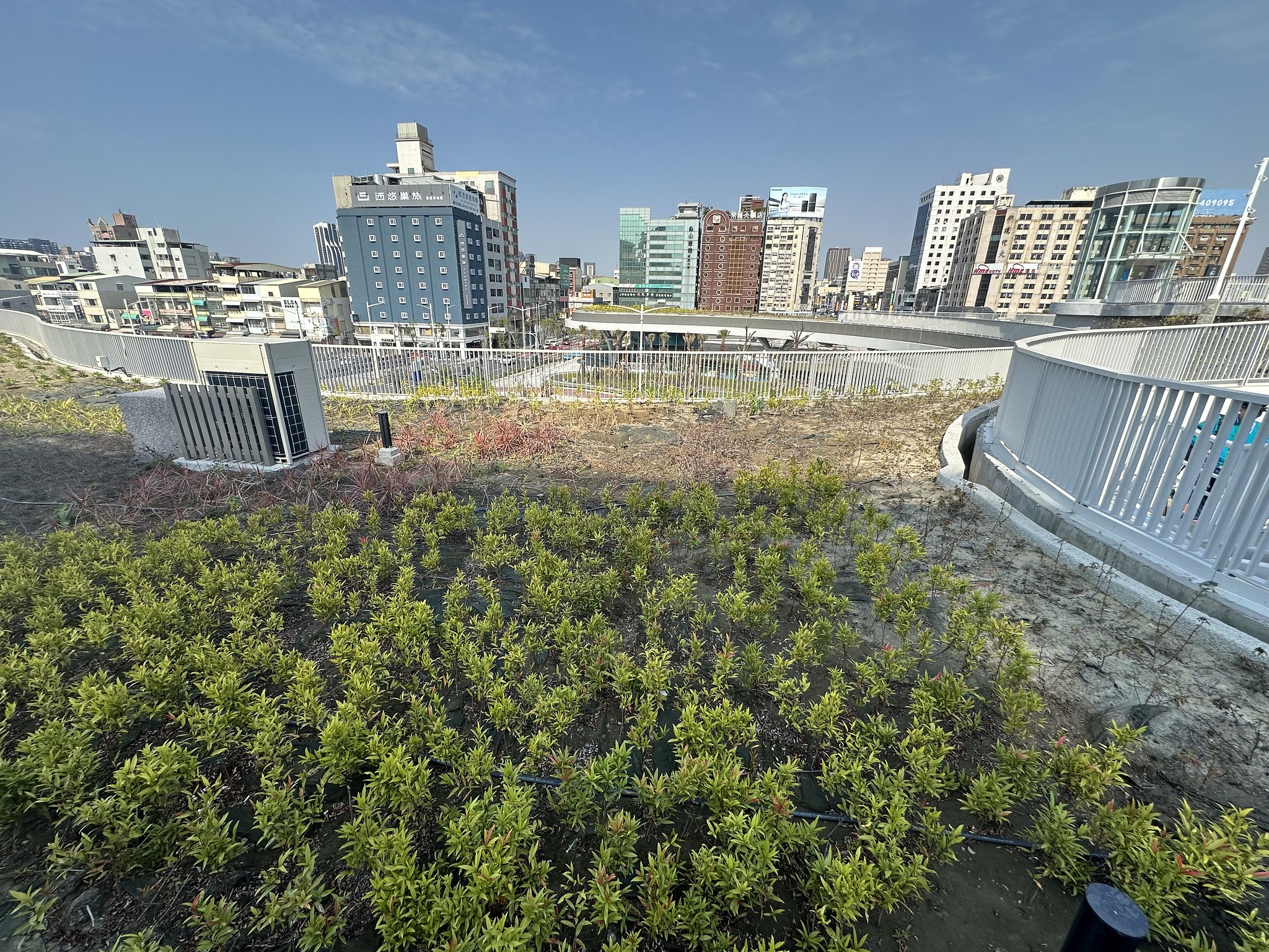 天棚植栽景觀以灌木為主體，無法展現多層次立體綠化尺度