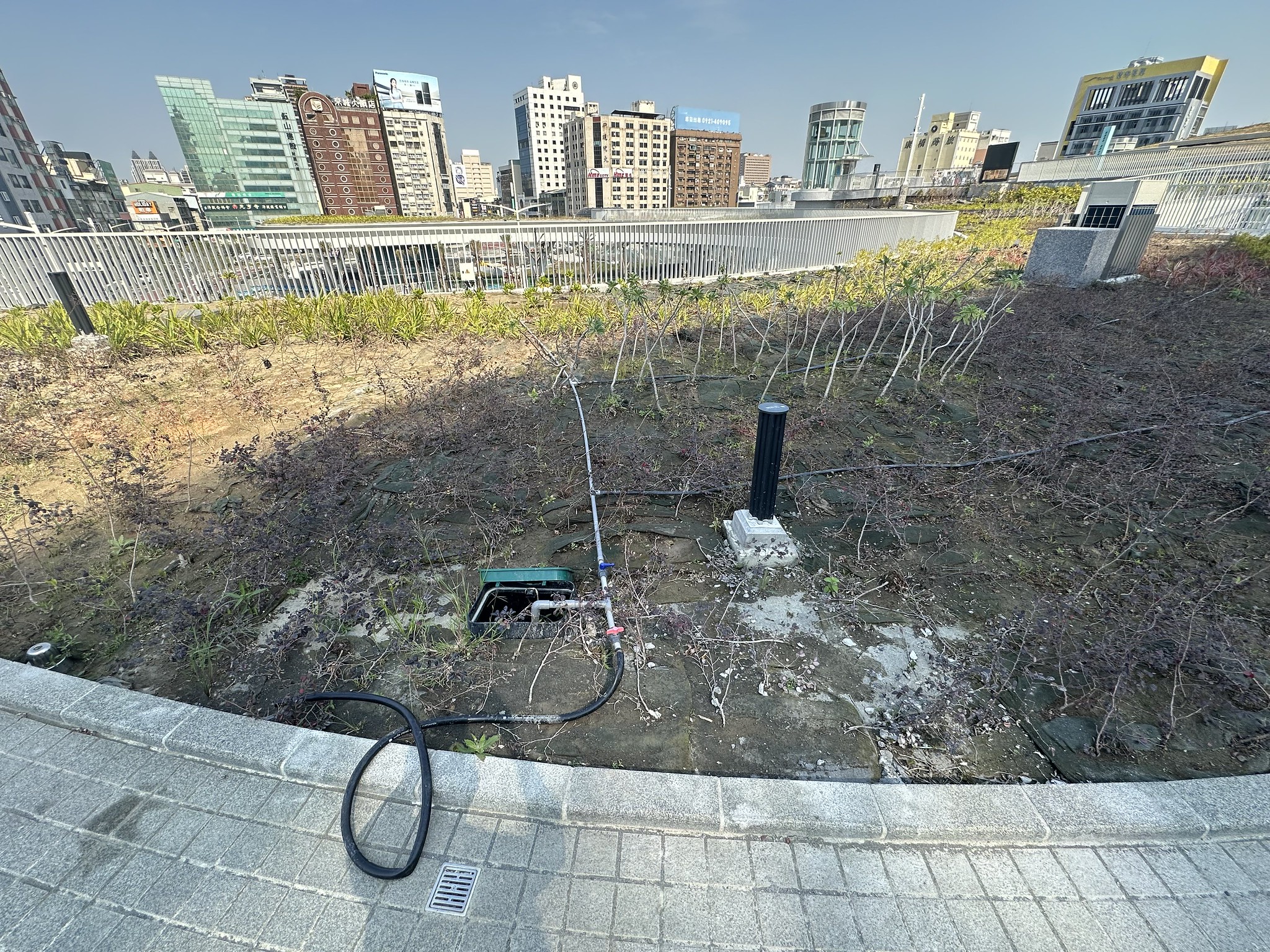 天棚植栽缺乏善用自然式植栽降低維護管理的創意與突破