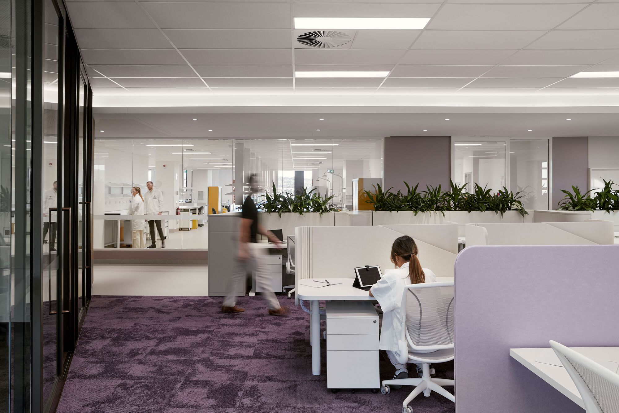 Architectus 弗林德斯大學（Flinders University） Health and Medical Research Building
