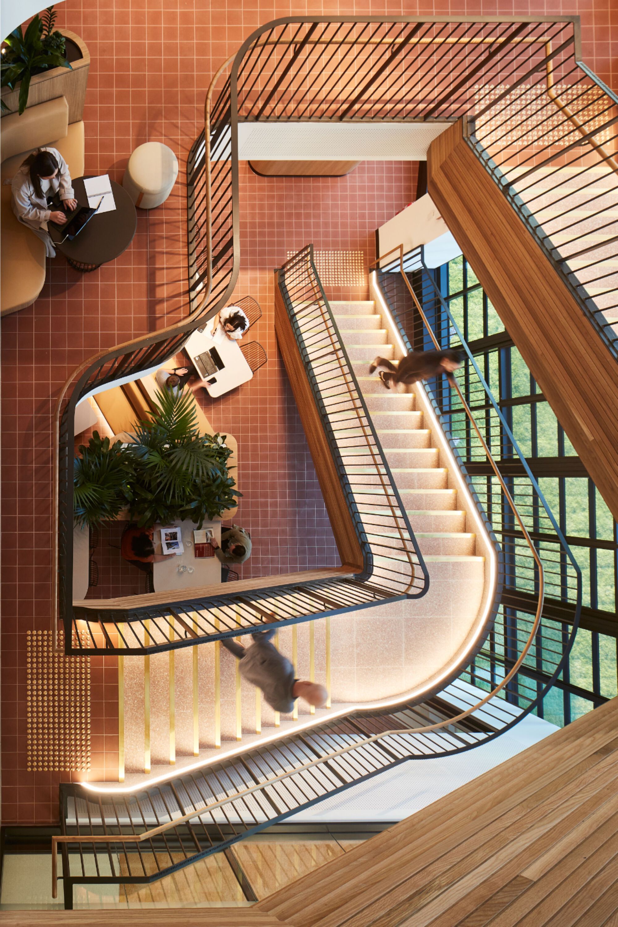 Architectus 弗林德斯大學（Flinders University） Health and Medical Research Building