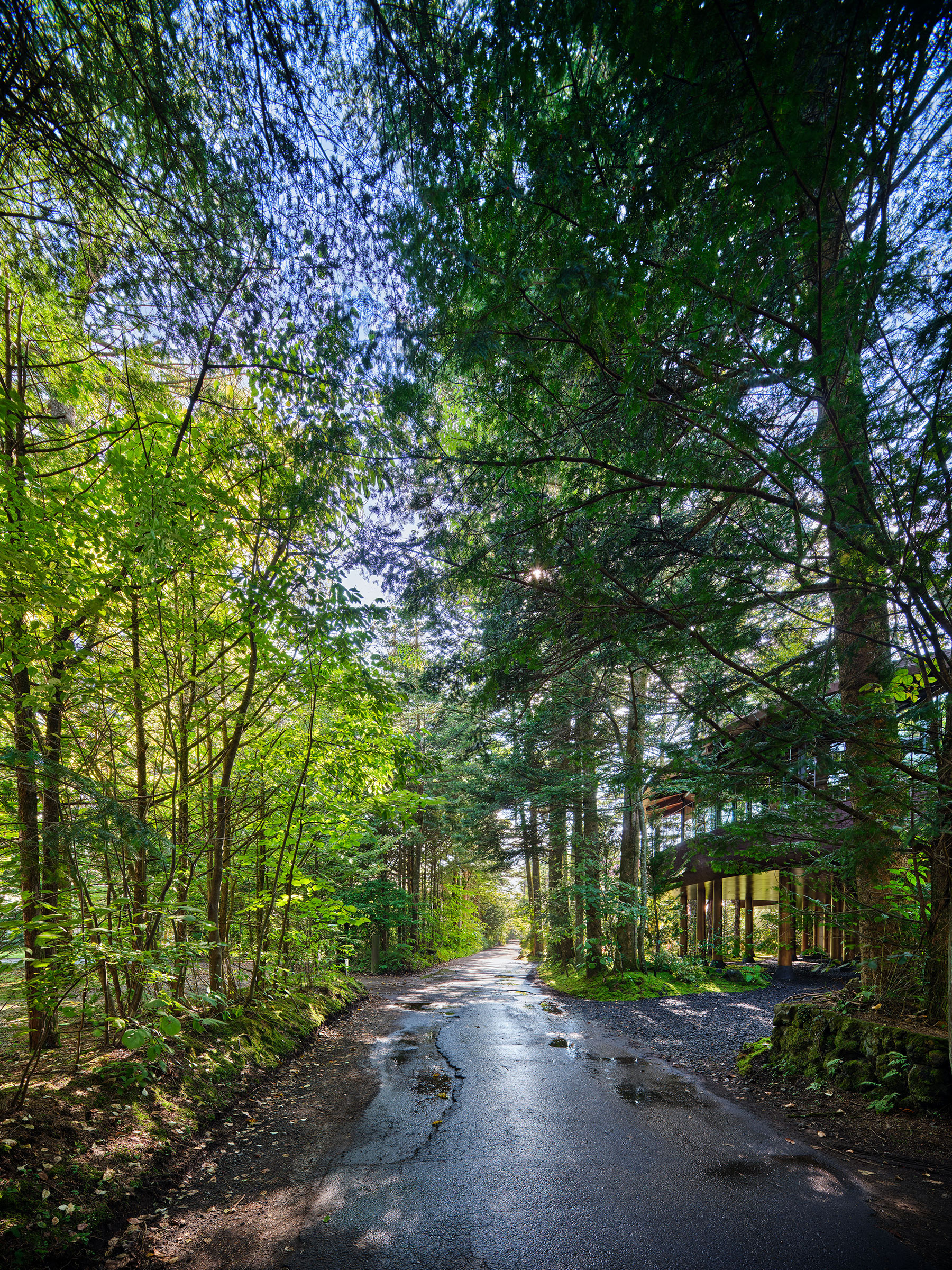 日本輕井澤私人住宅 and to 木造屋 Grove Strolling Corridor 