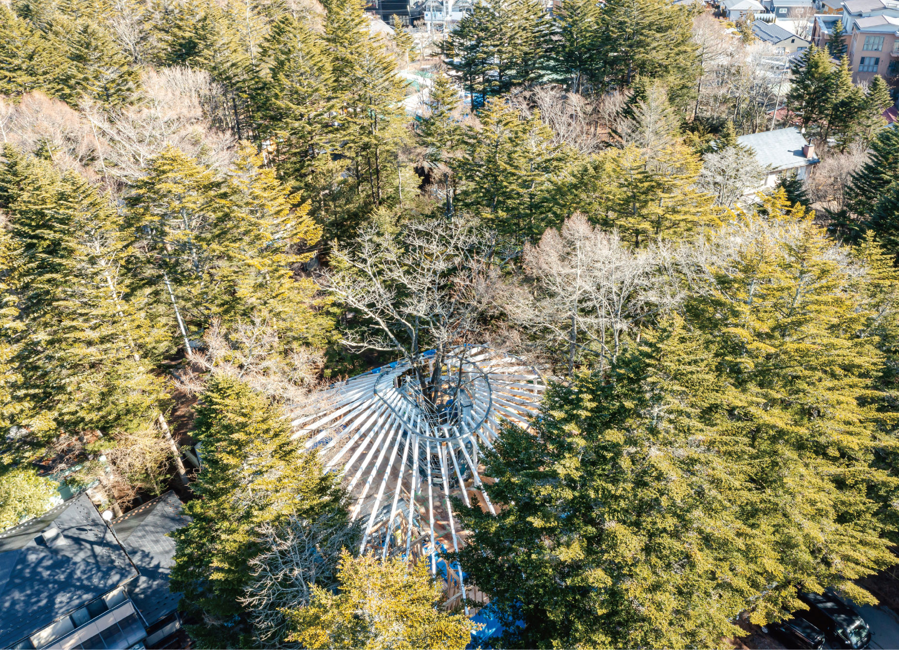 日本輕井澤私人住宅 and to 木造屋 Grove Strolling Corridor 