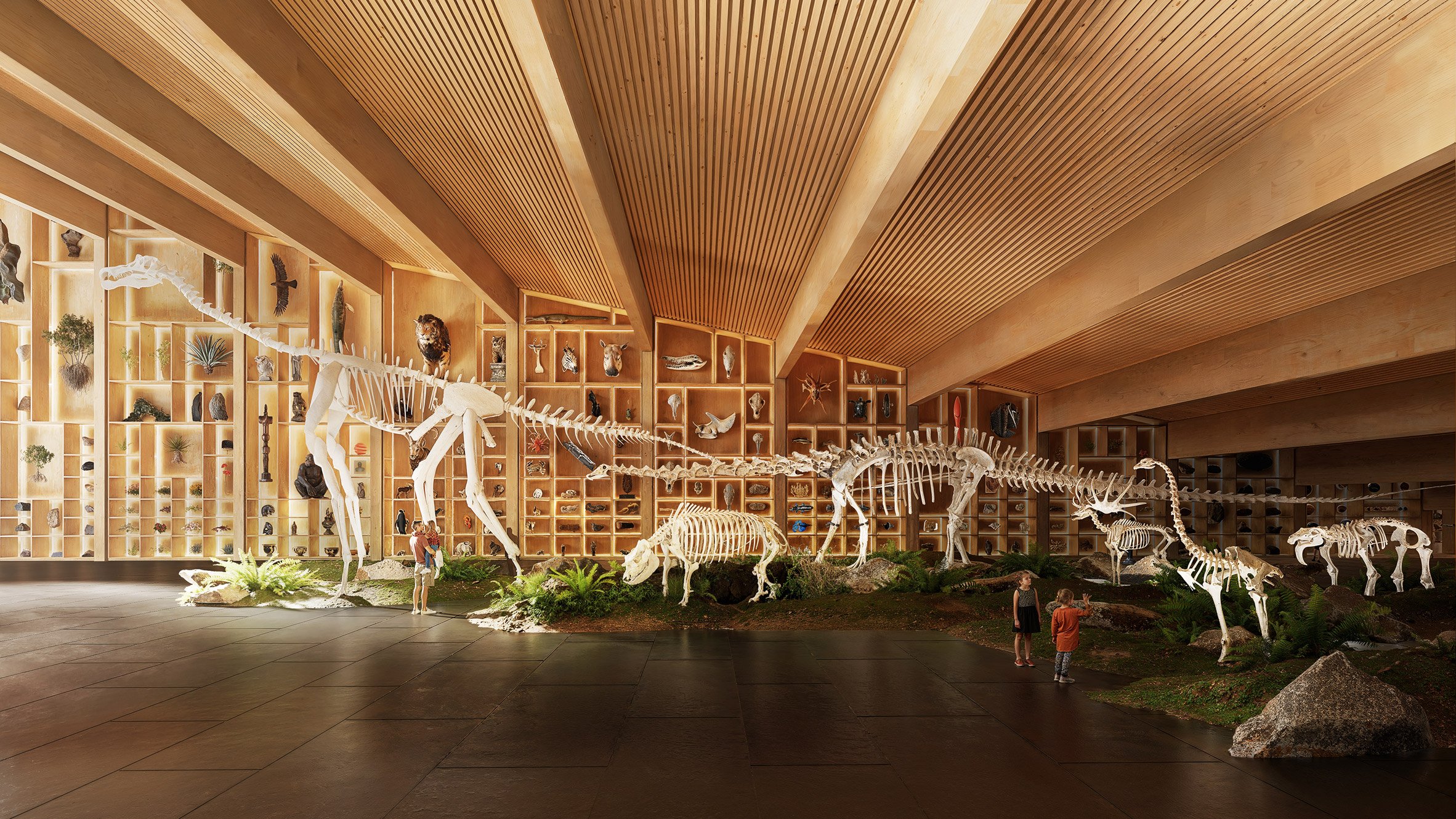 BIG 匈牙利德布勒森自然史博物館 Bjarke Ingels Group  Hungarian Natural History Museum Debrecen