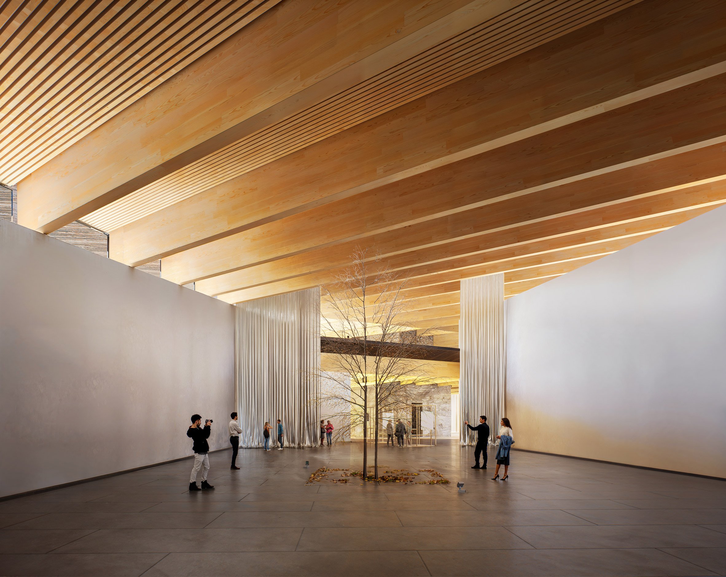 BIG 匈牙利德布勒森自然史博物館 Bjarke Ingels Group  Hungarian Natural History Museum Debrecen