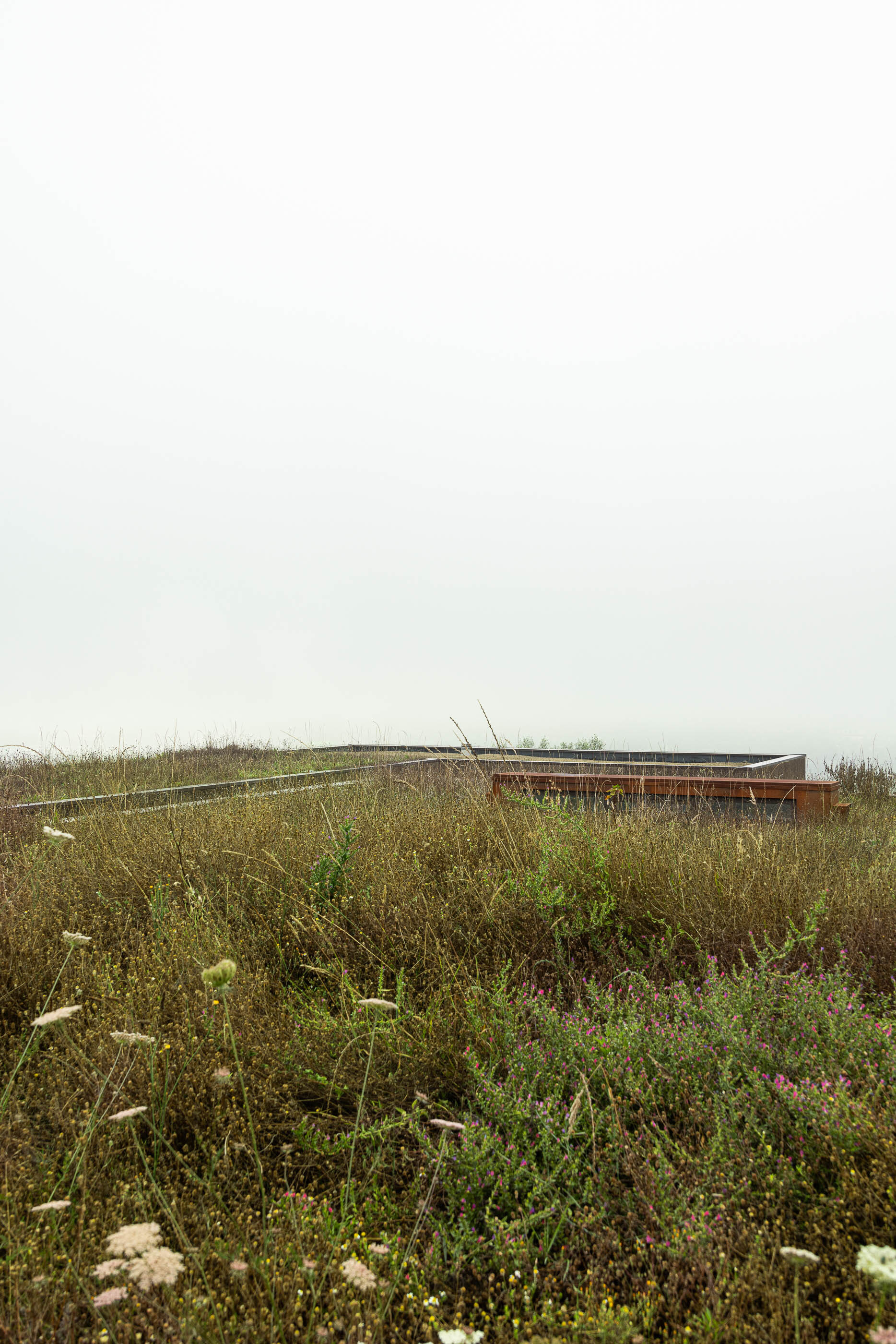 Tiago Tsou 葡萄牙私人住宅 Levada House Tsou Arquitectos 