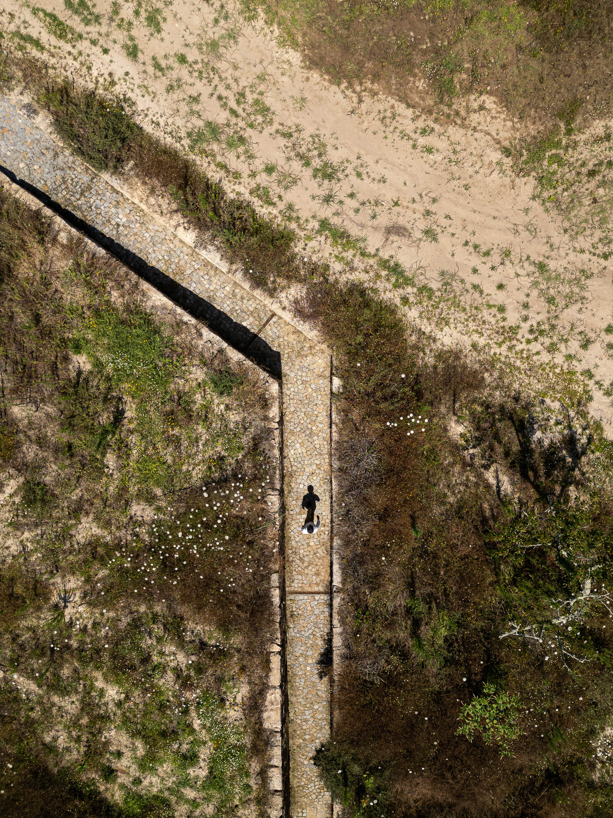 Tiago Tsou 葡萄牙私人住宅 Levada House Tsou Arquitectos 