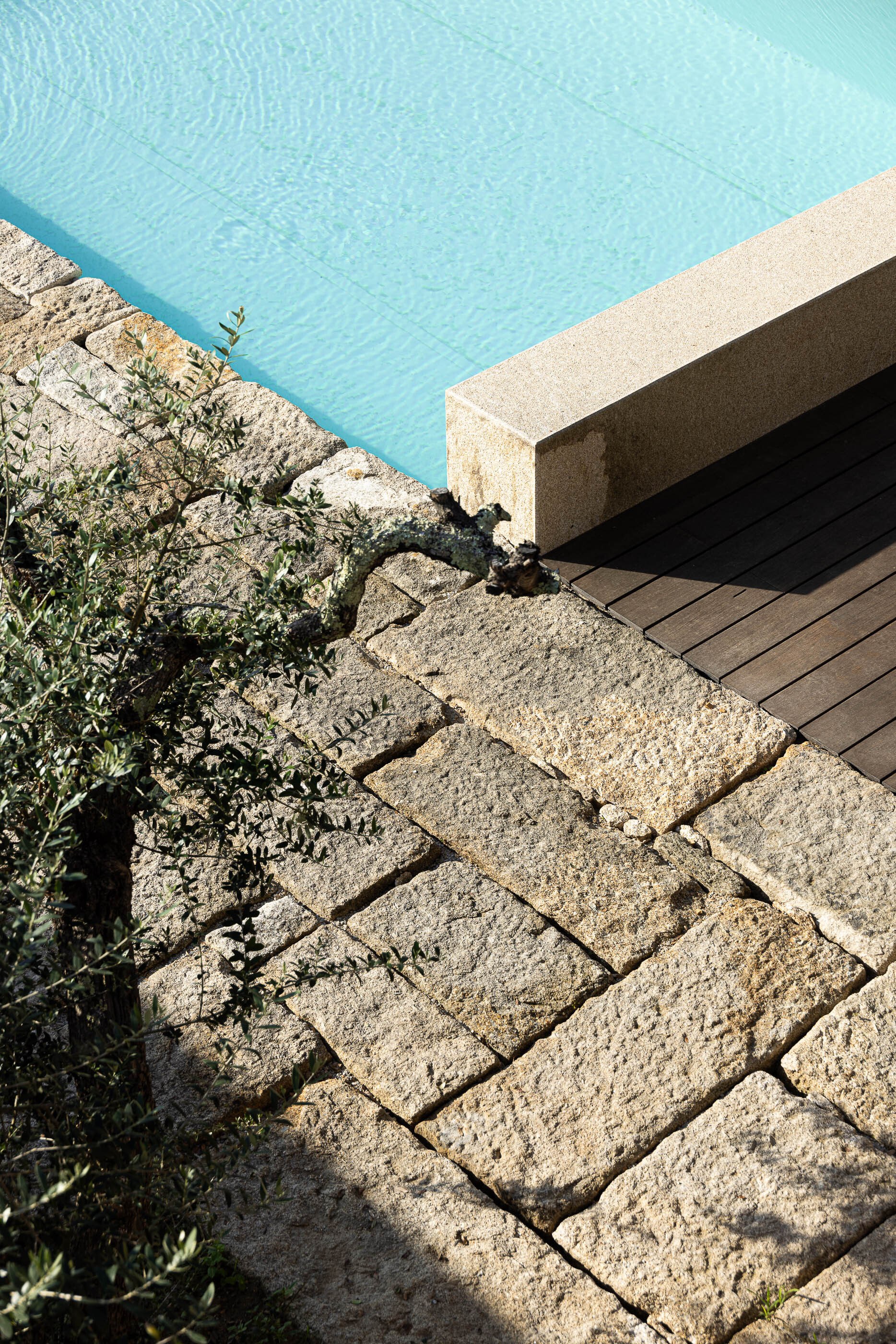 Tiago Tsou 葡萄牙私人住宅 Levada House Tsou Arquitectos 