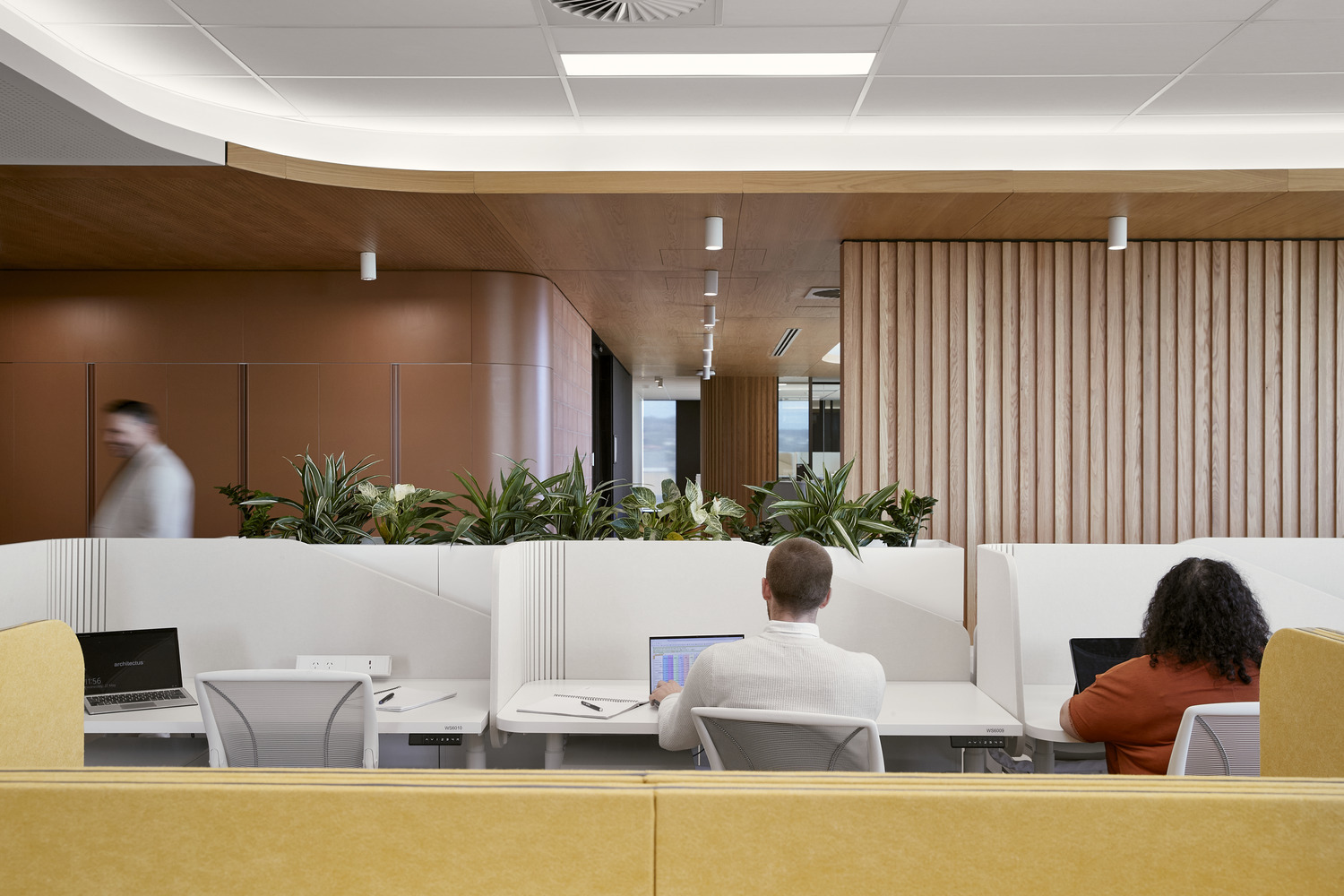 Architectus 弗林德斯大學（Flinders University） Health and Medical Research Building