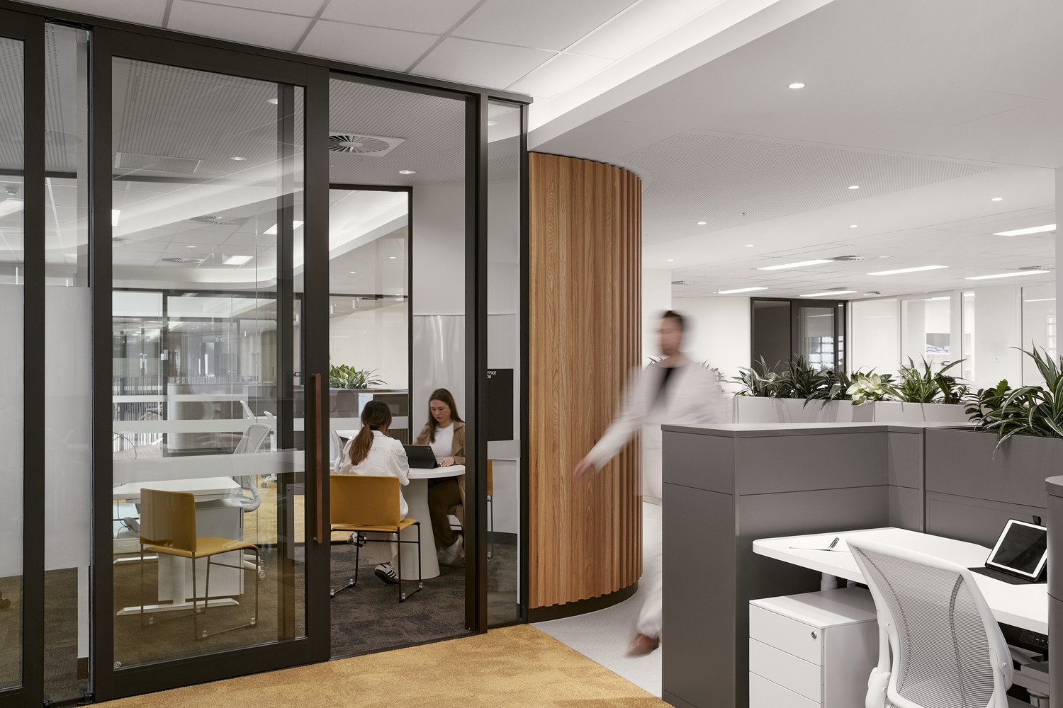 Architectus 弗林德斯大學（Flinders University） Health and Medical Research Building