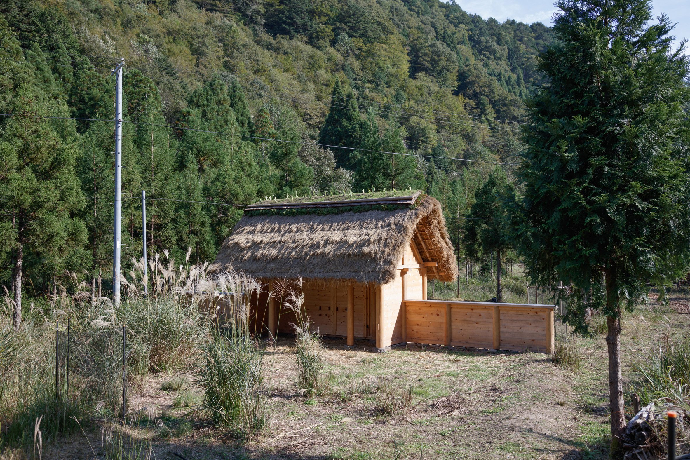 京都裏山 法國建築師2m26 檜木茅草 Hitsujigoya wood structure 木構造羊舍