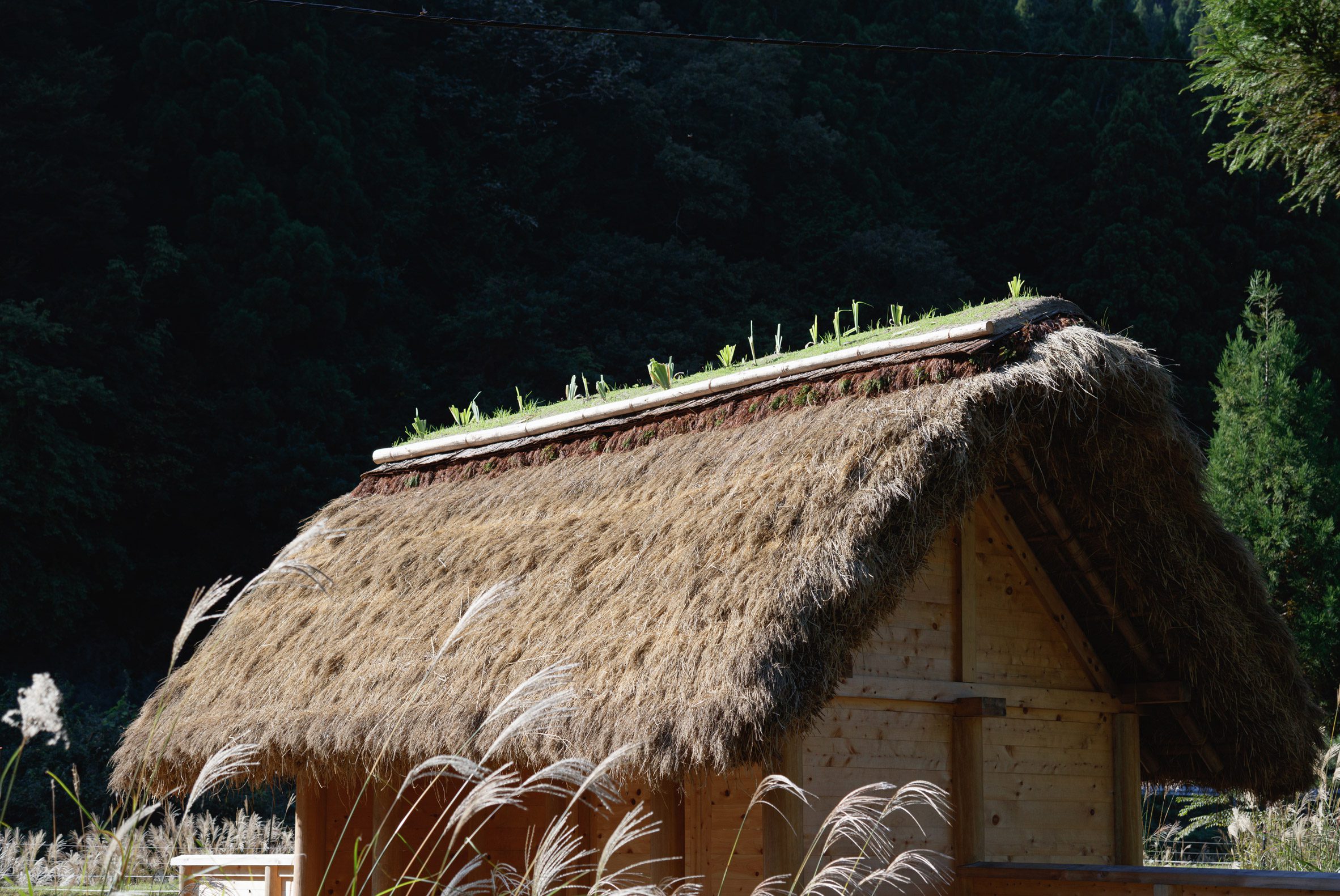 京都裏山 法國建築師2m26 檜木茅草 Hitsujigoya wood structure 木構造羊舍