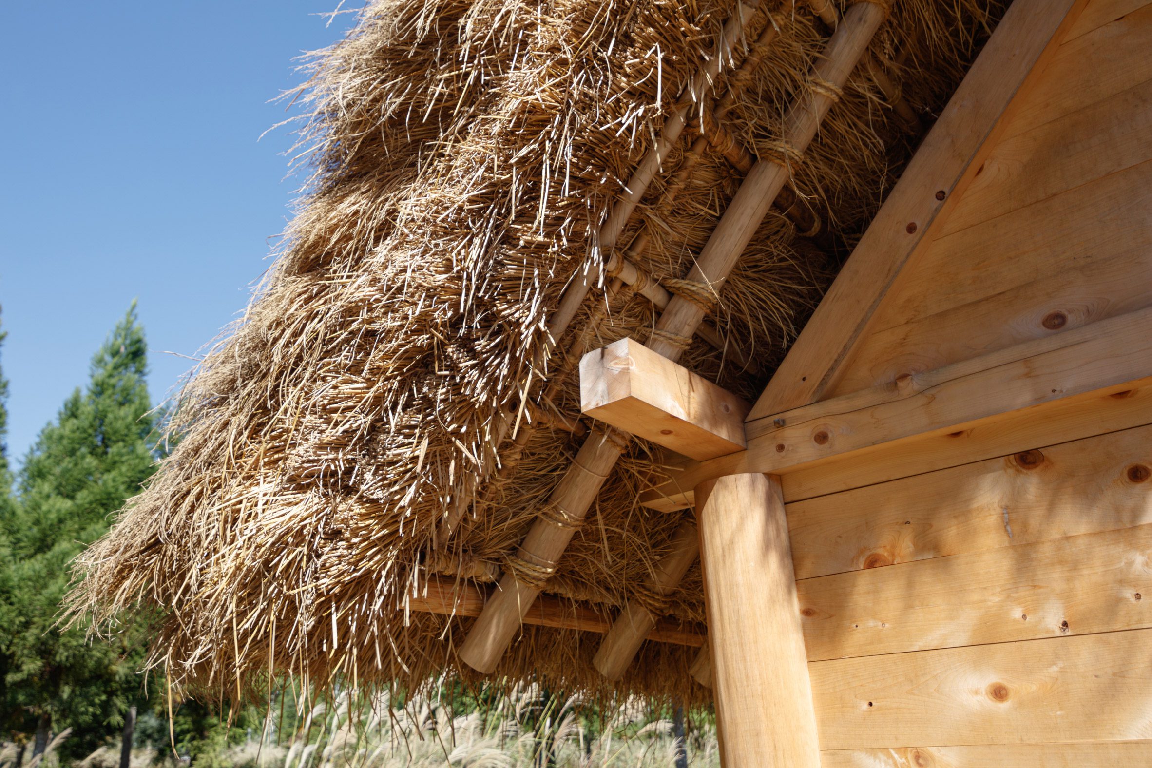 京都裏山 法國建築師2m26 檜木茅草 Hitsujigoya wood structure 木構造羊舍