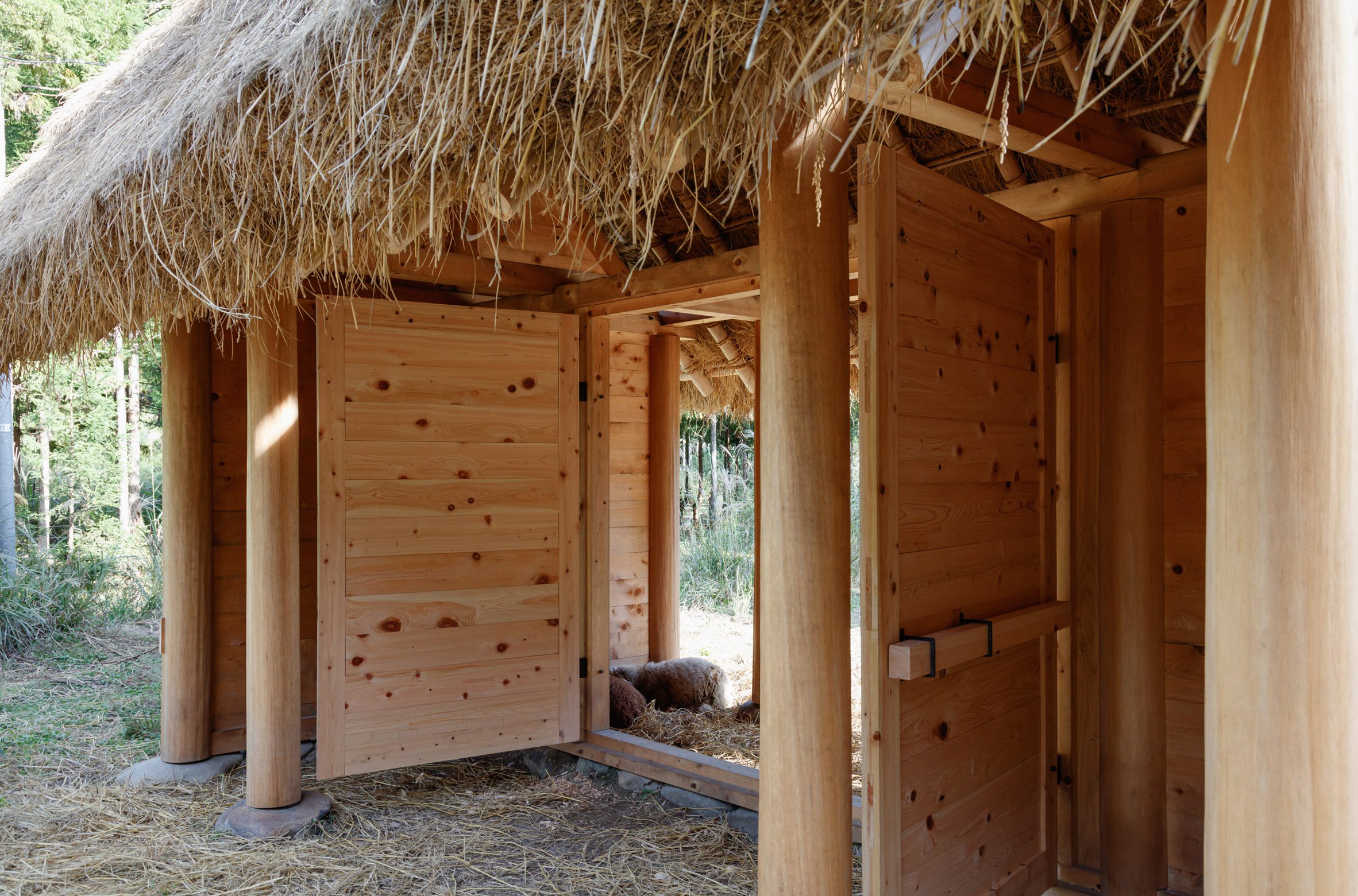 京都裏山 法國建築師2m26 檜木茅草 Hitsujigoya wood structure 木構造羊舍
