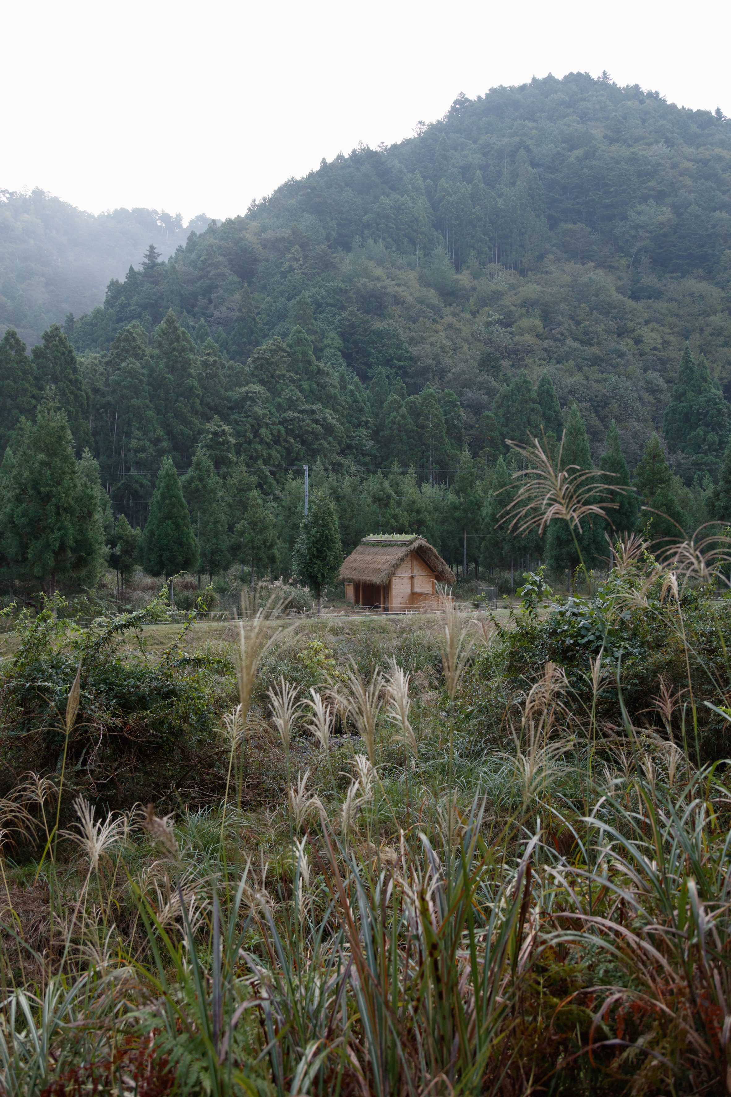 京都裏山 法國建築師2m26 檜木茅草 Hitsujigoya wood structure 木構造羊舍