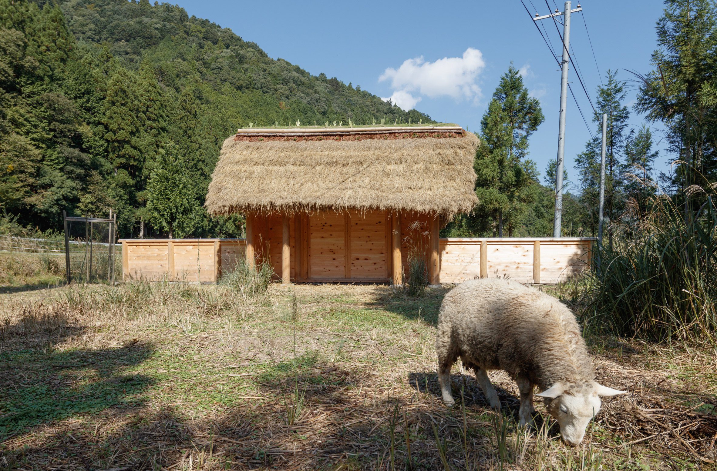京都裏山 法國建築師2m26 檜木茅草 Hitsujigoya wood structure 木構造羊舍